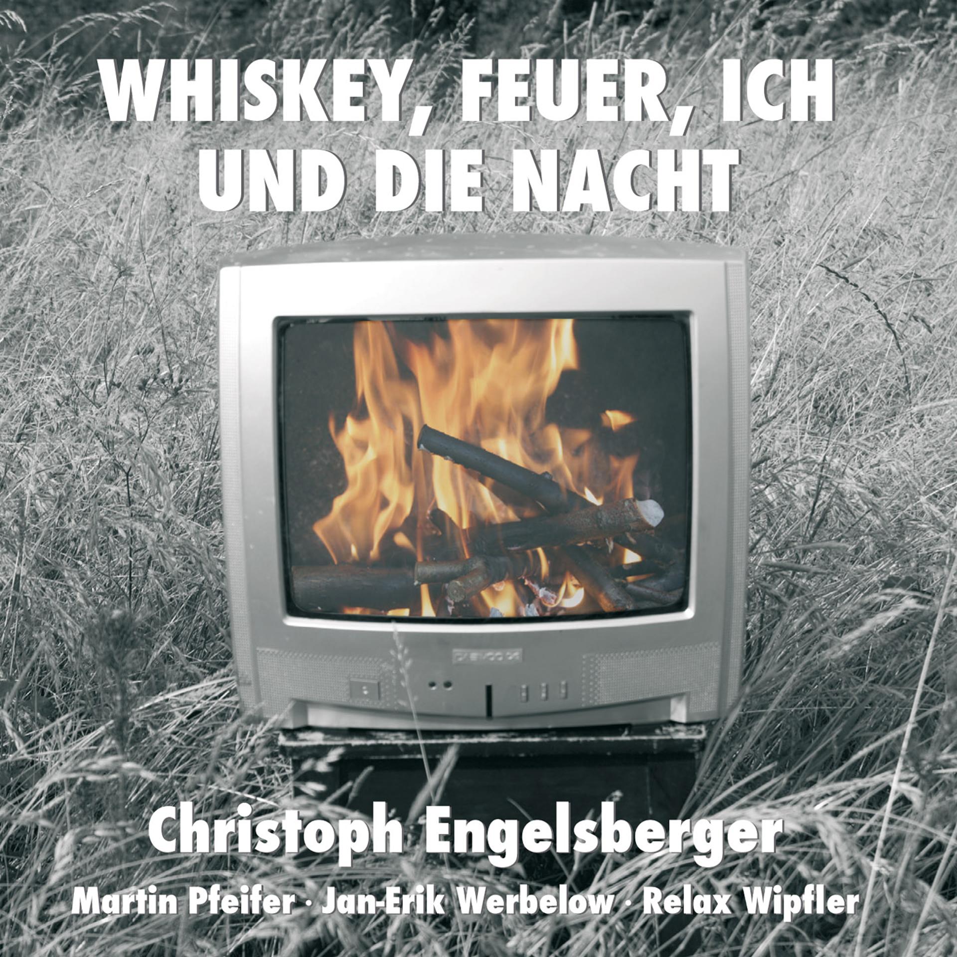 Постер альбома Whiskey, Feuer, ich und die Nacht