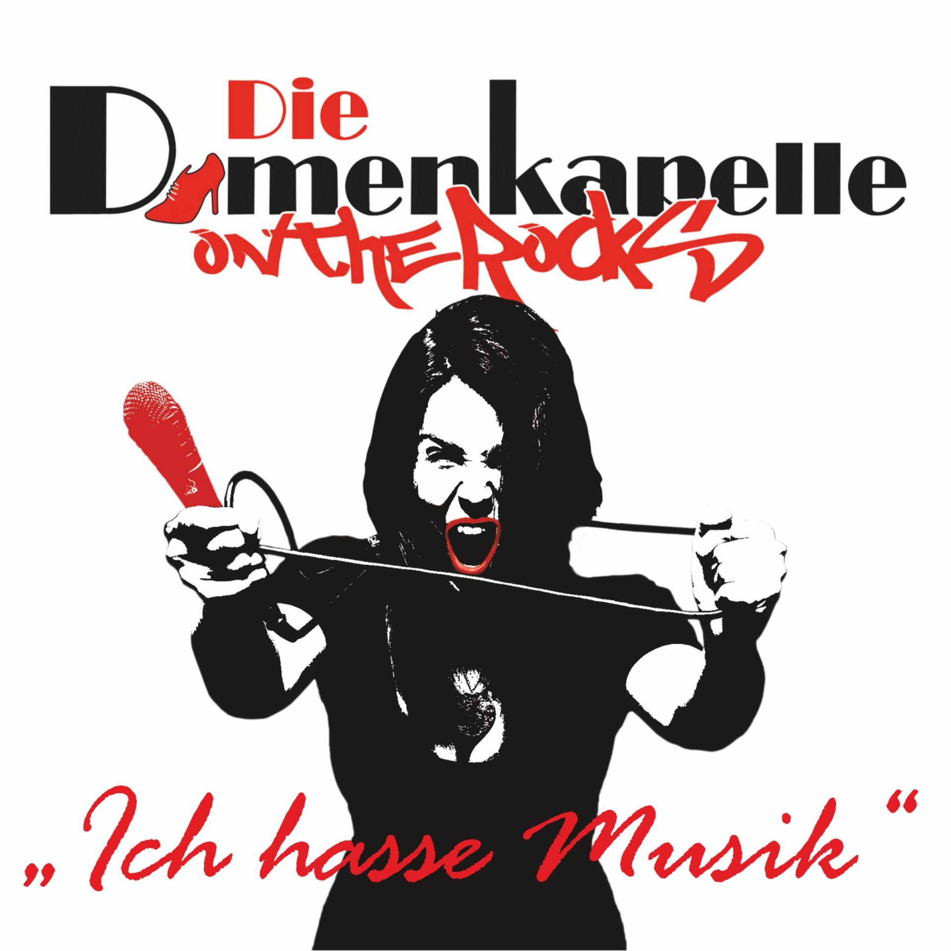 Постер альбома Ich hasse Musik