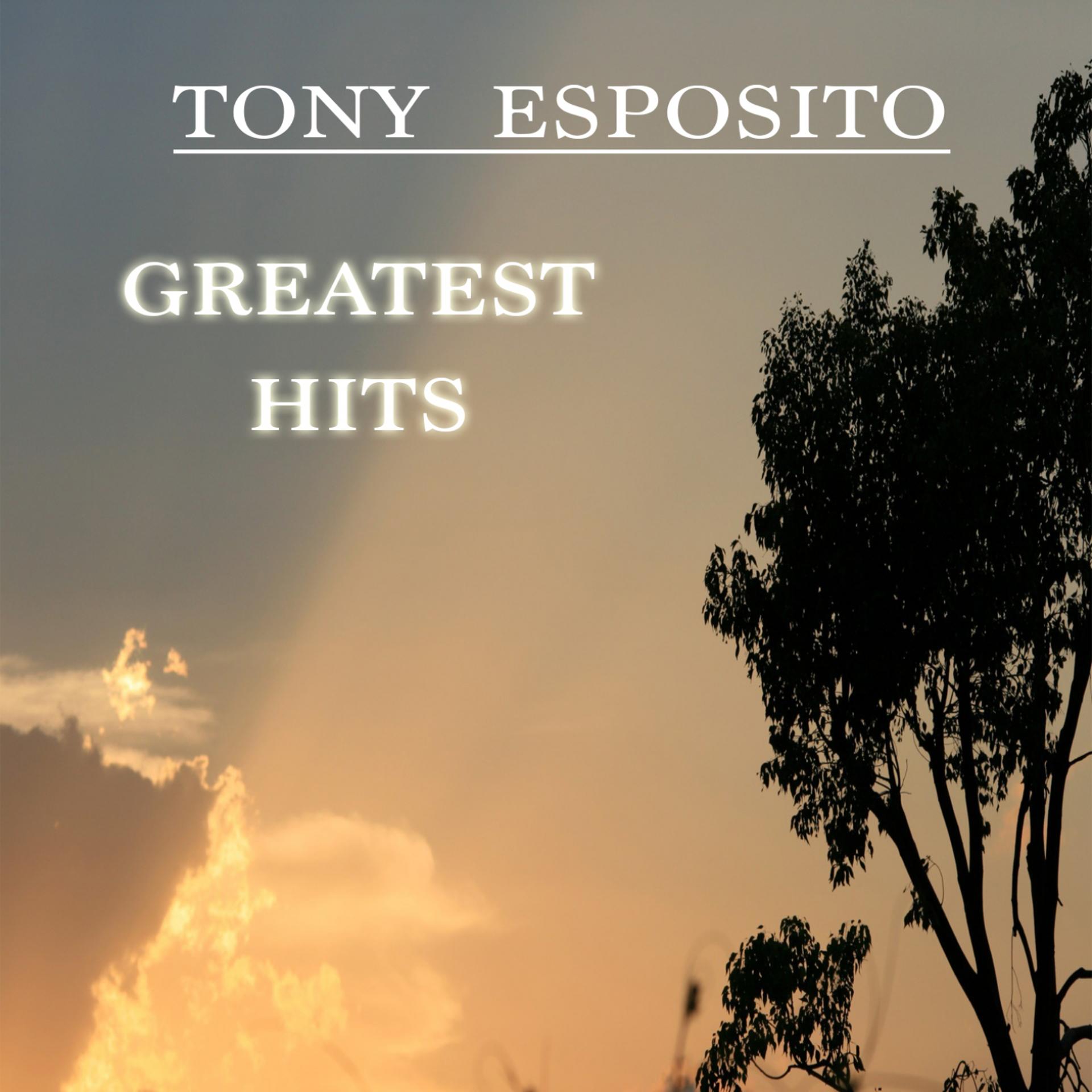 Постер альбома Tony Esposito Greatest Hits
