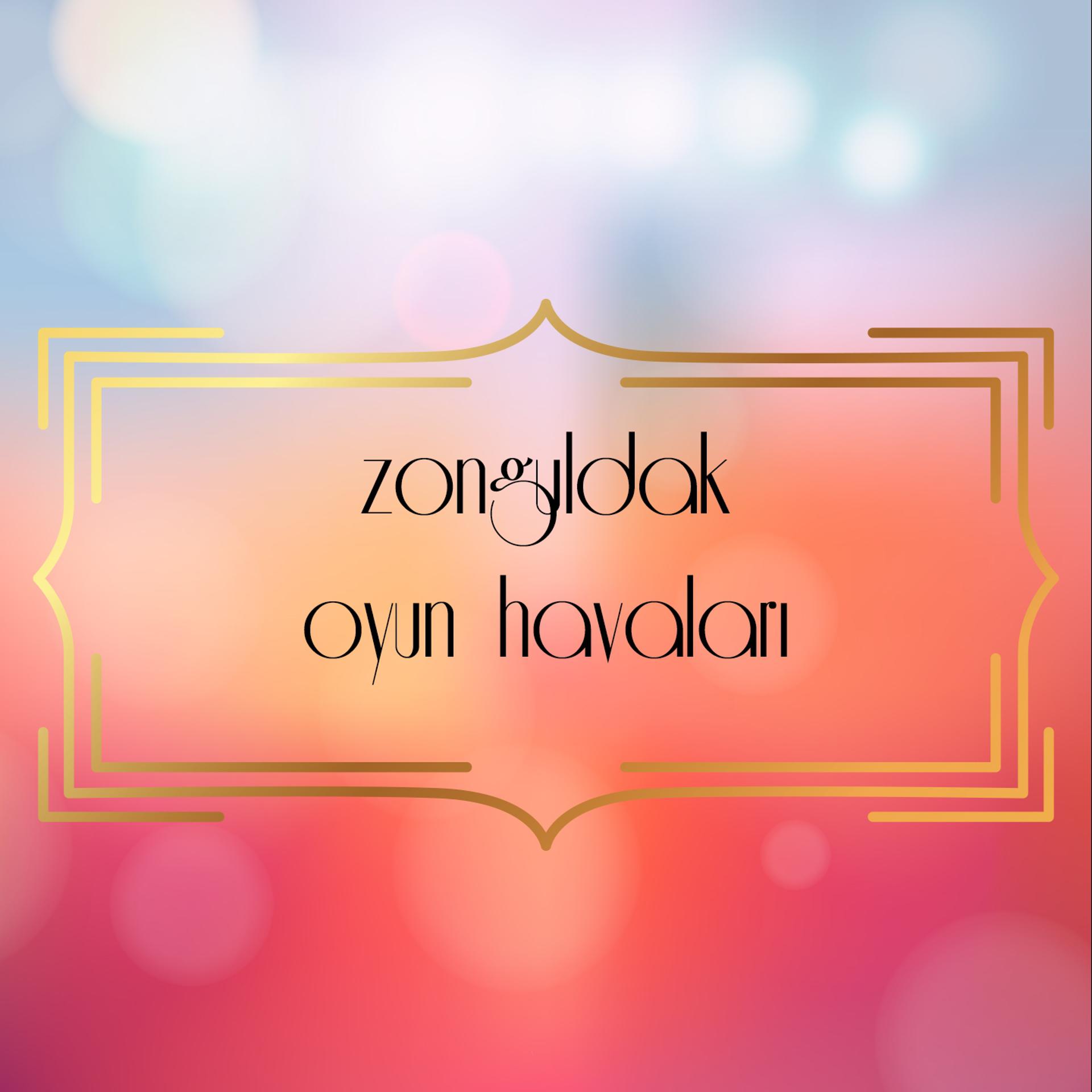 Постер альбома Zonguldak Oyun Havaları