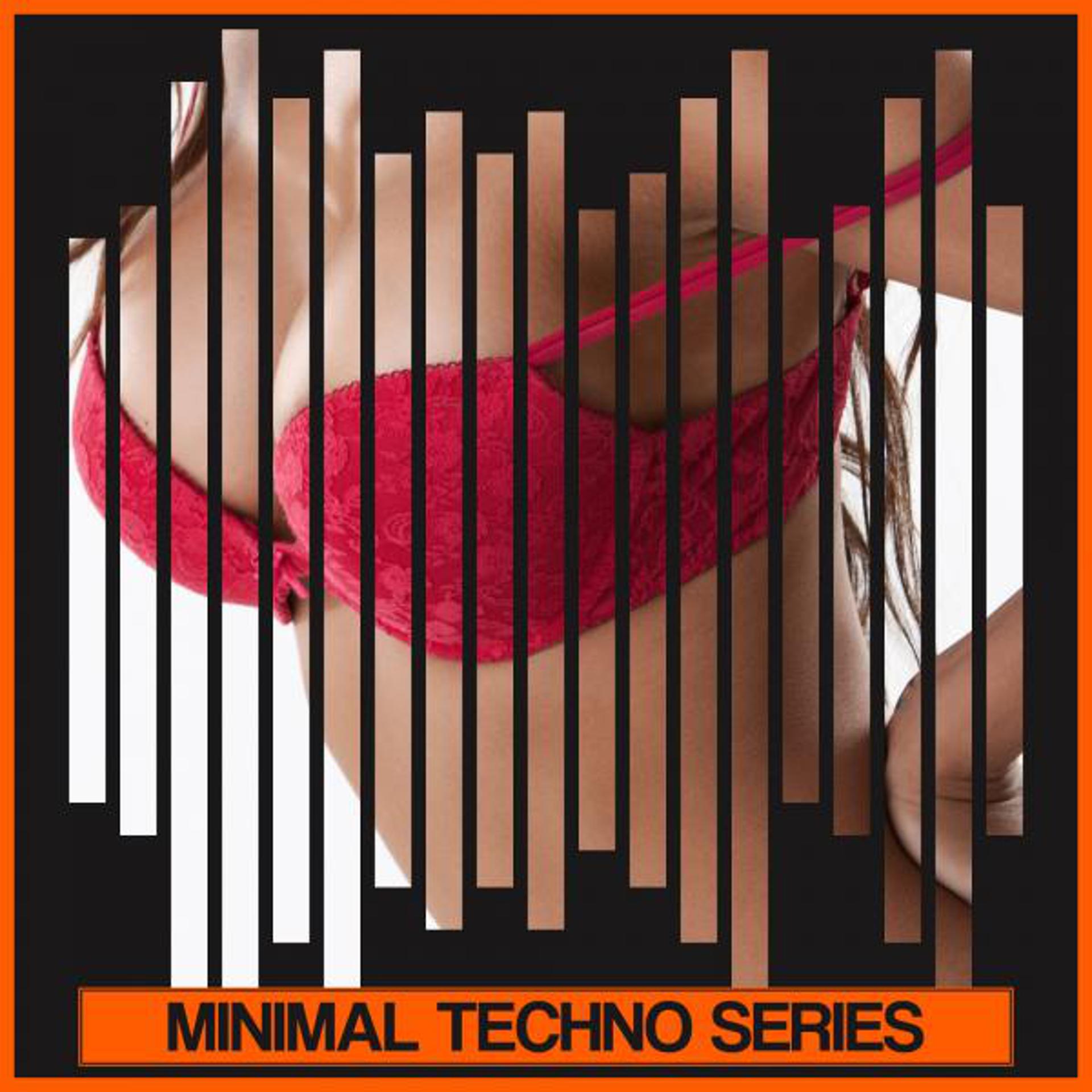 Постер альбома Minimal Techno Series