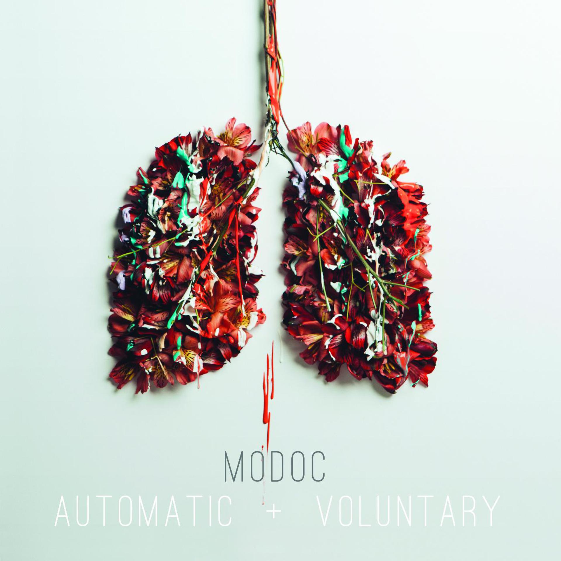 Постер альбома Automatic & Voluntary