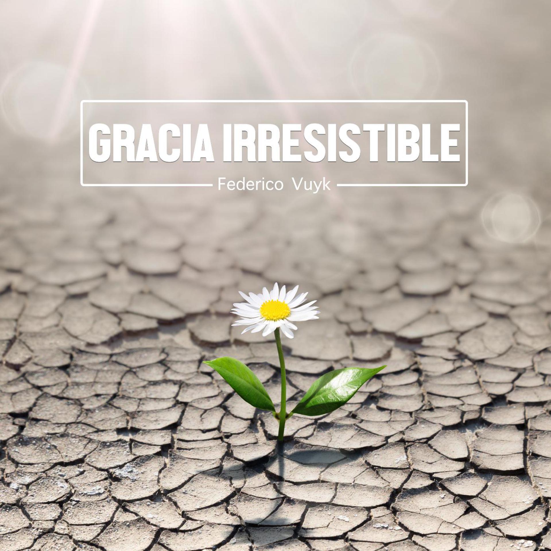 Постер альбома Gracia Irresistible