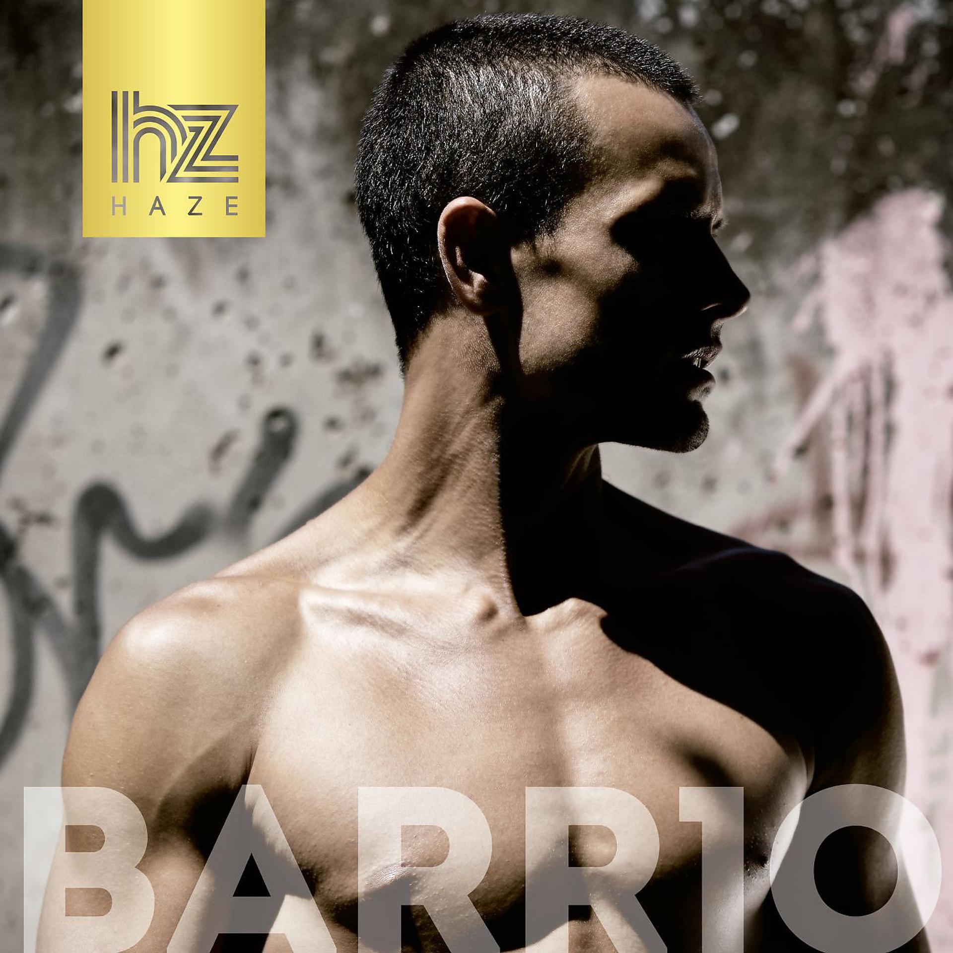 Постер альбома BARR10