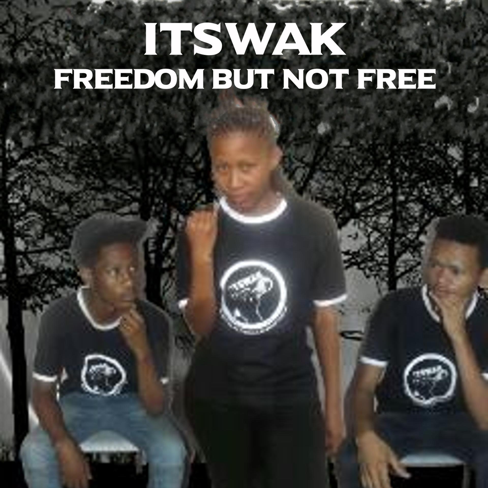 Постер альбома Freedom but Not Free