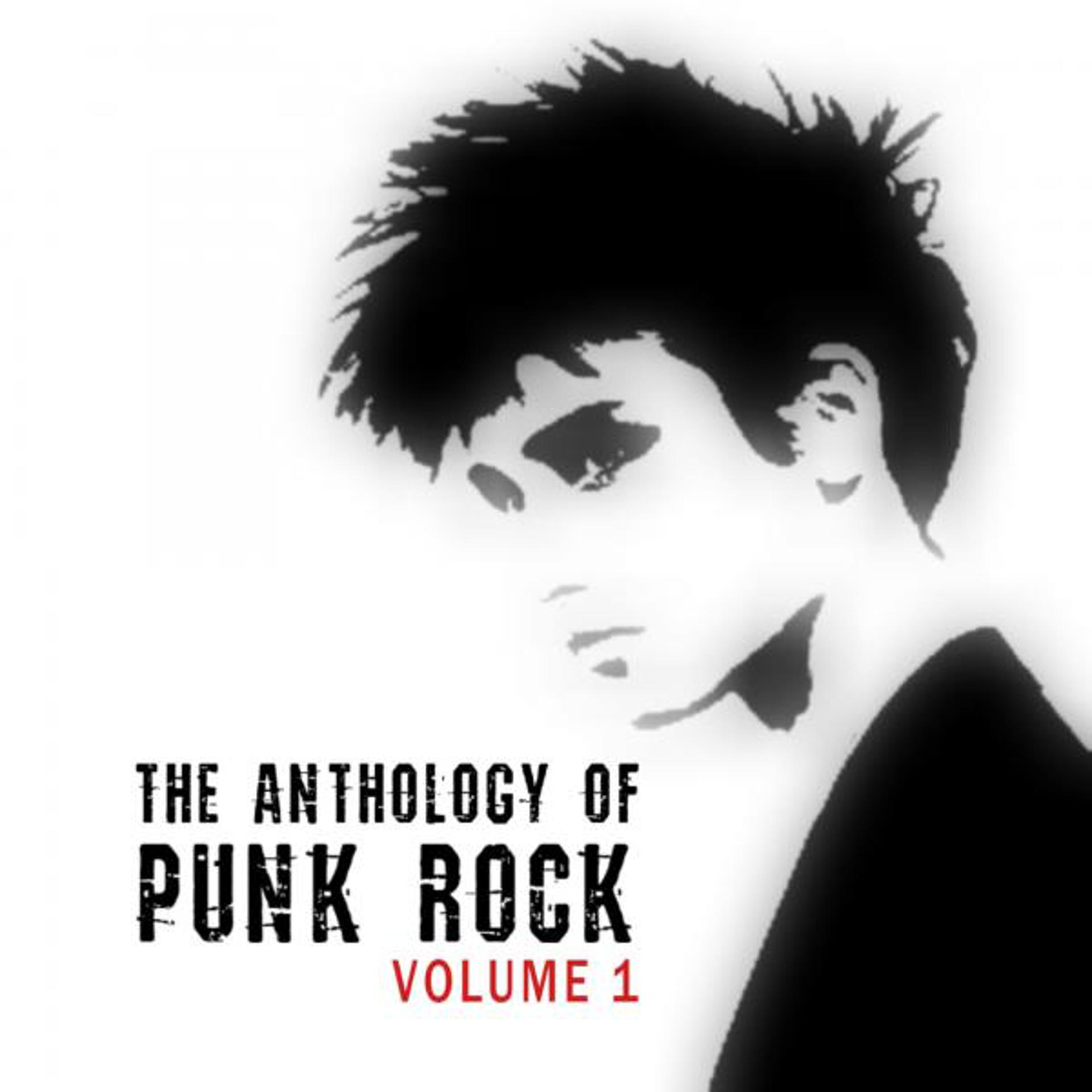 Постер альбома Anthology Of Punk Rock Vol. 1
