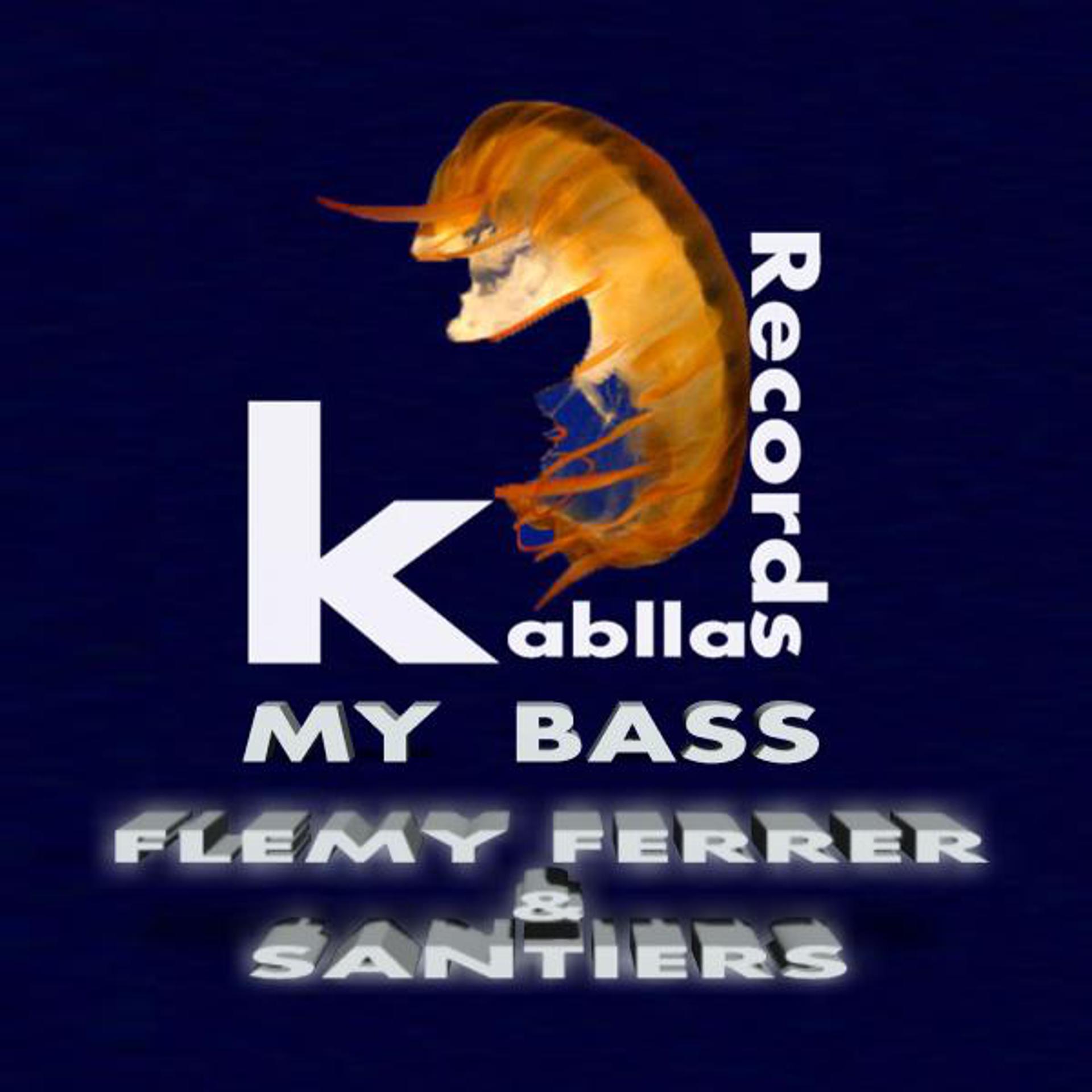 Постер альбома My Bass