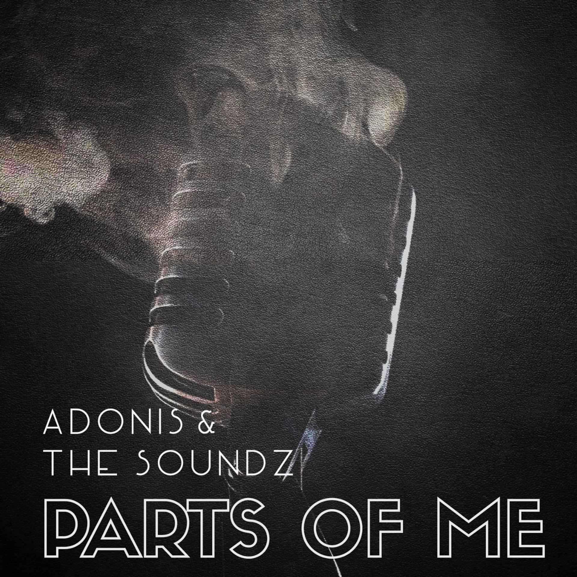 Постер альбома Parts of Me (feat. the Soundz)