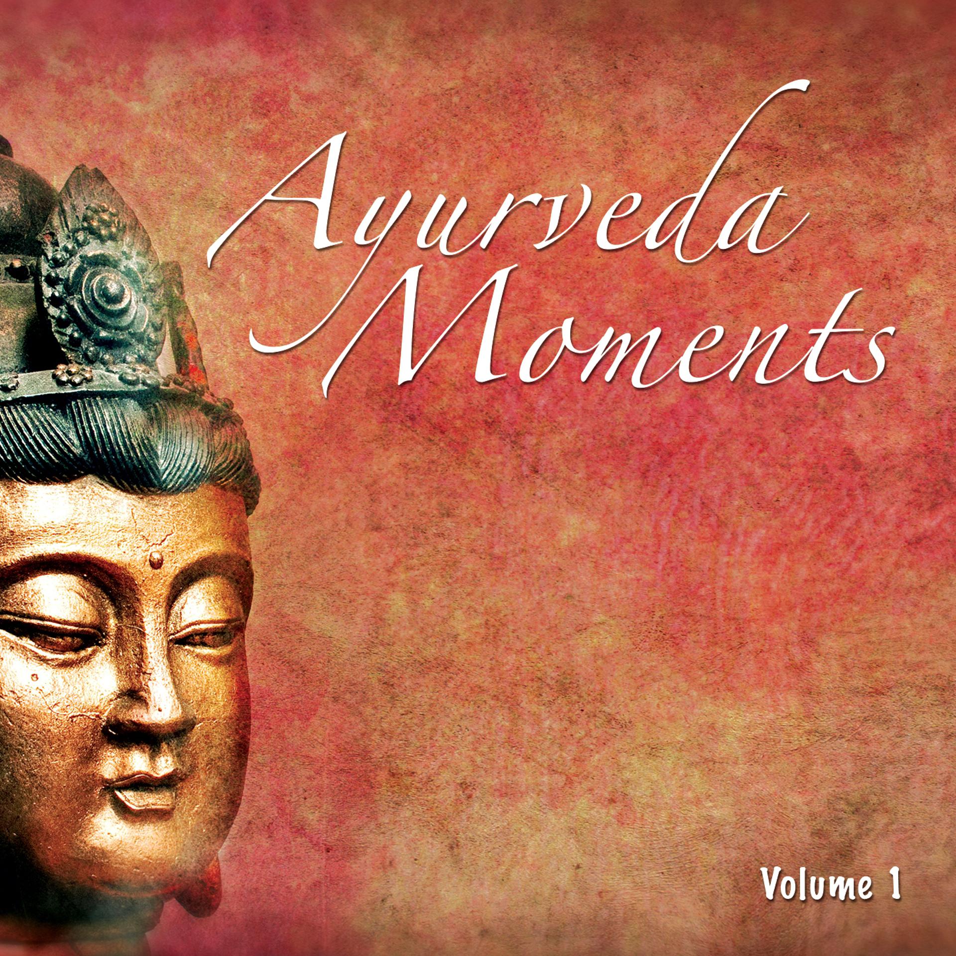 Постер альбома Ayurveda Moments, Vol. 1