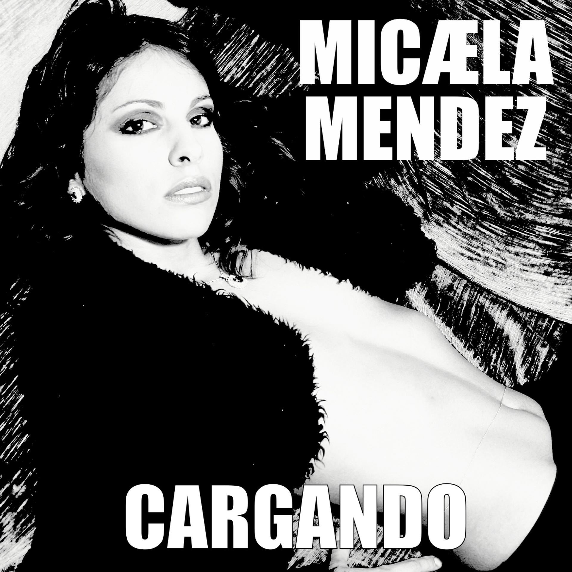 Постер альбома Cargando