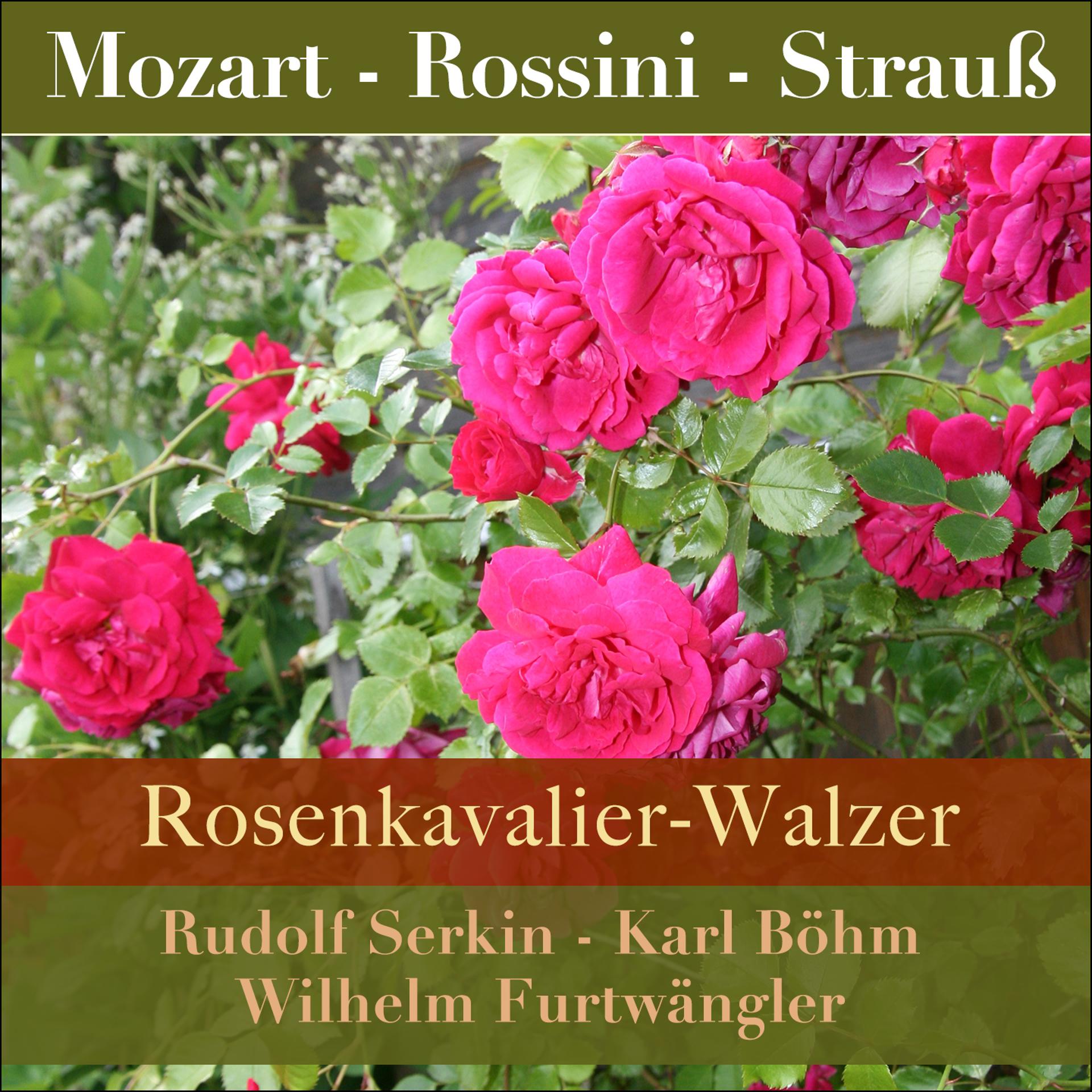 Постер альбома Rosenkavalier-Walzer