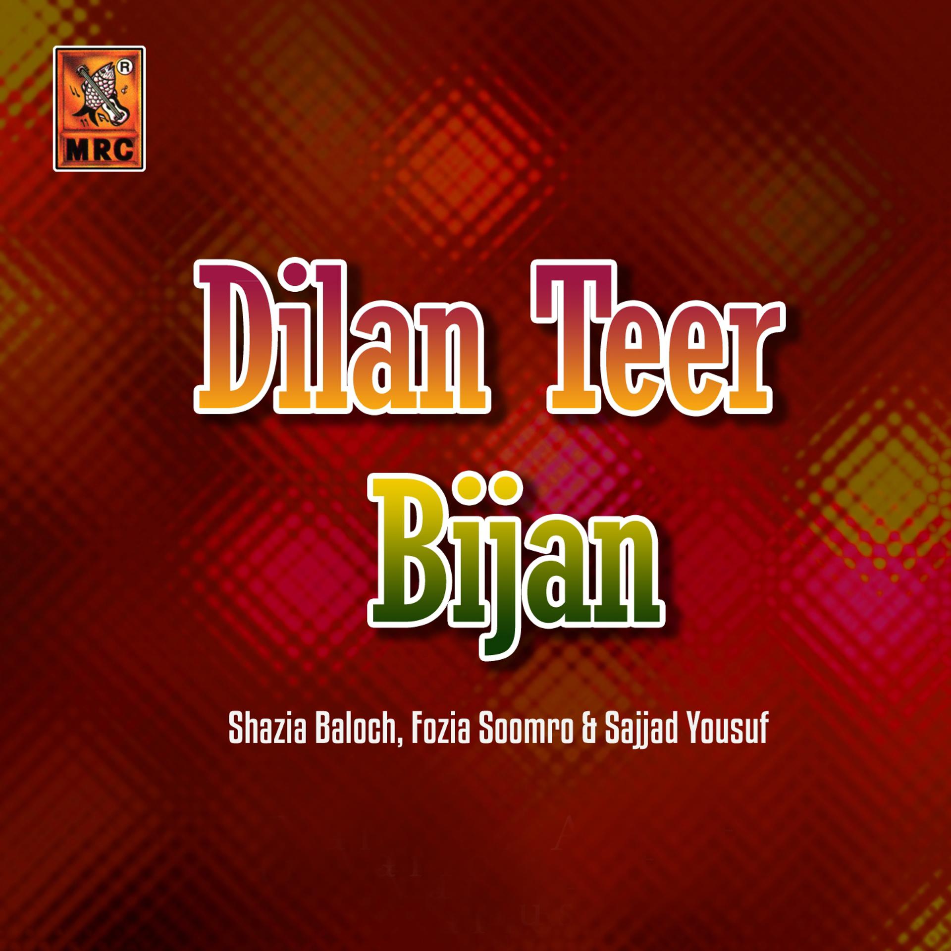 Постер альбома Dilan Teer Bijan