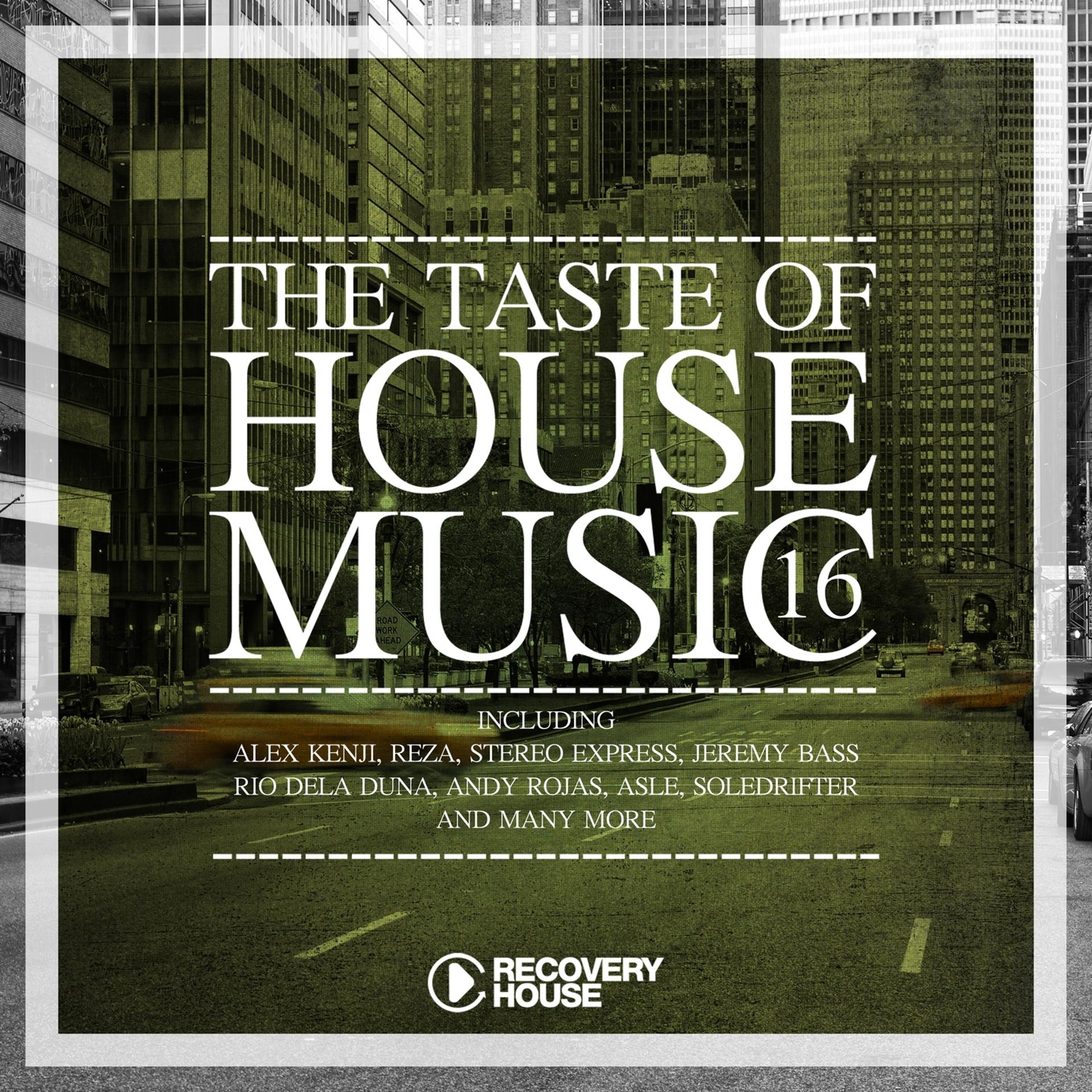 Постер альбома The Taste Of House Music, Vol. 16