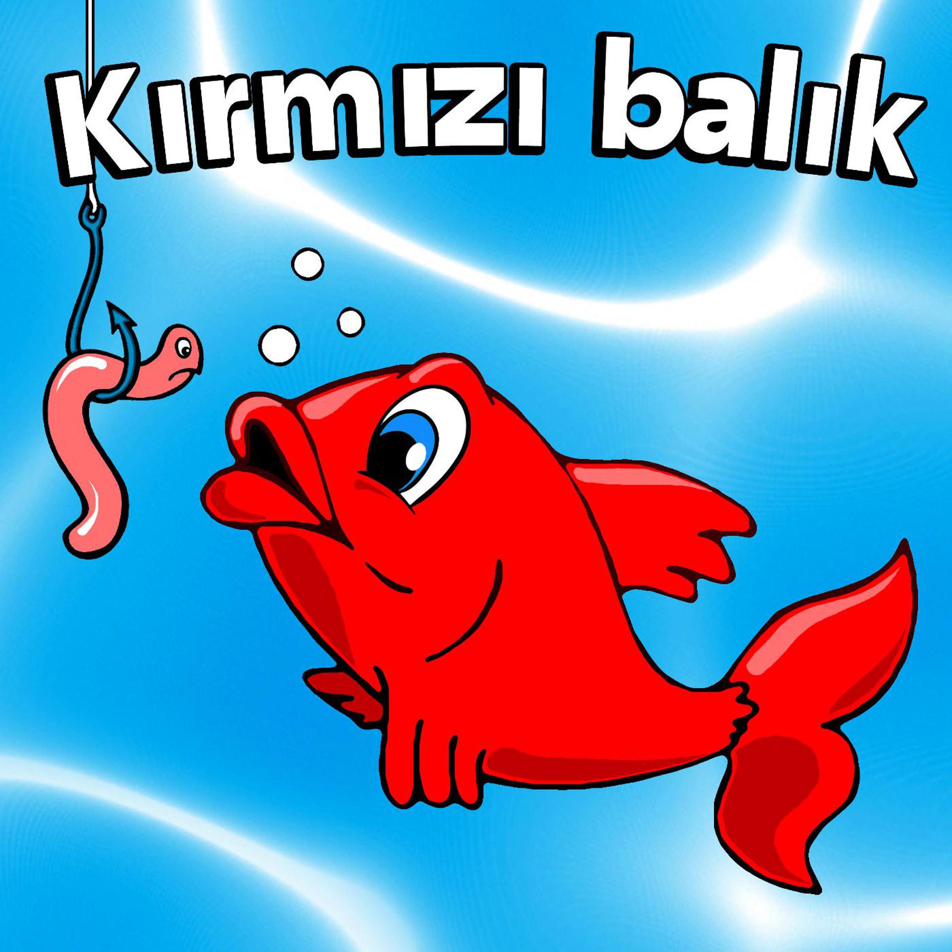 Постер альбома Kırmızı balık