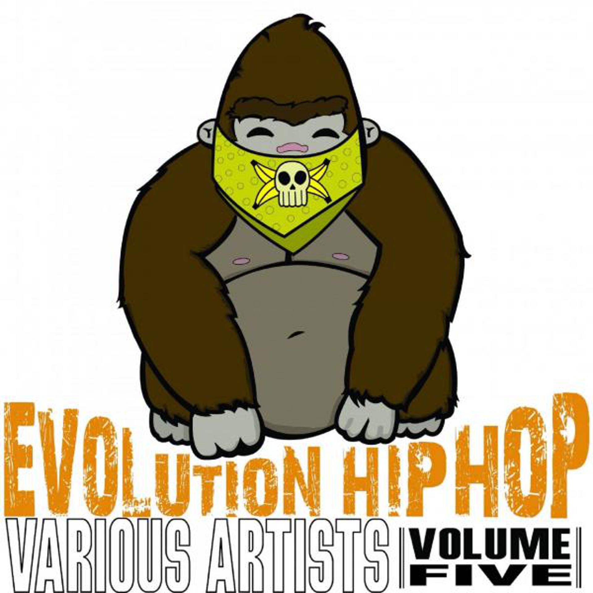 Постер альбома Evolution Hip Hop, Vol. 5