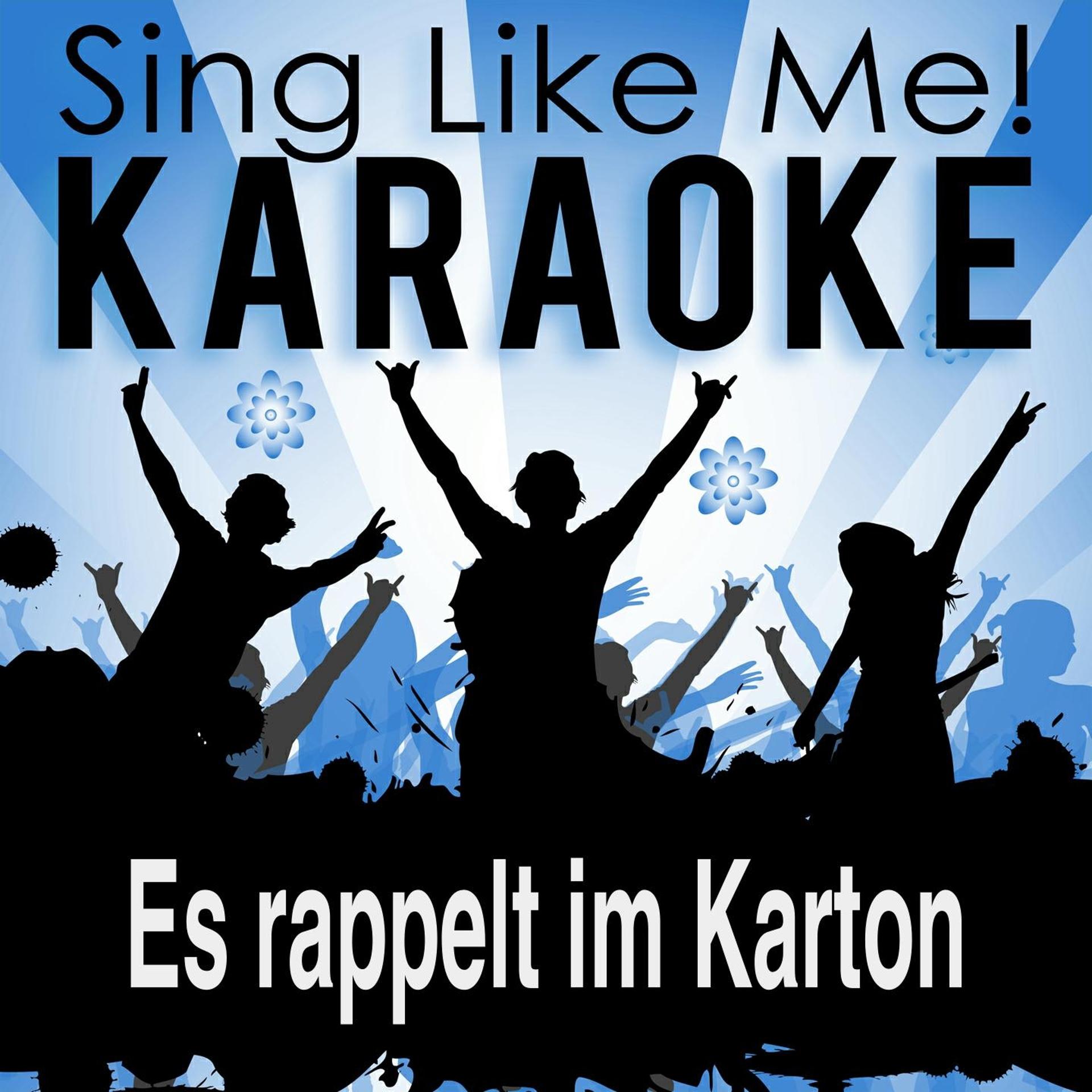 Постер альбома Es rappelt im Karton (Karaoke Version)
