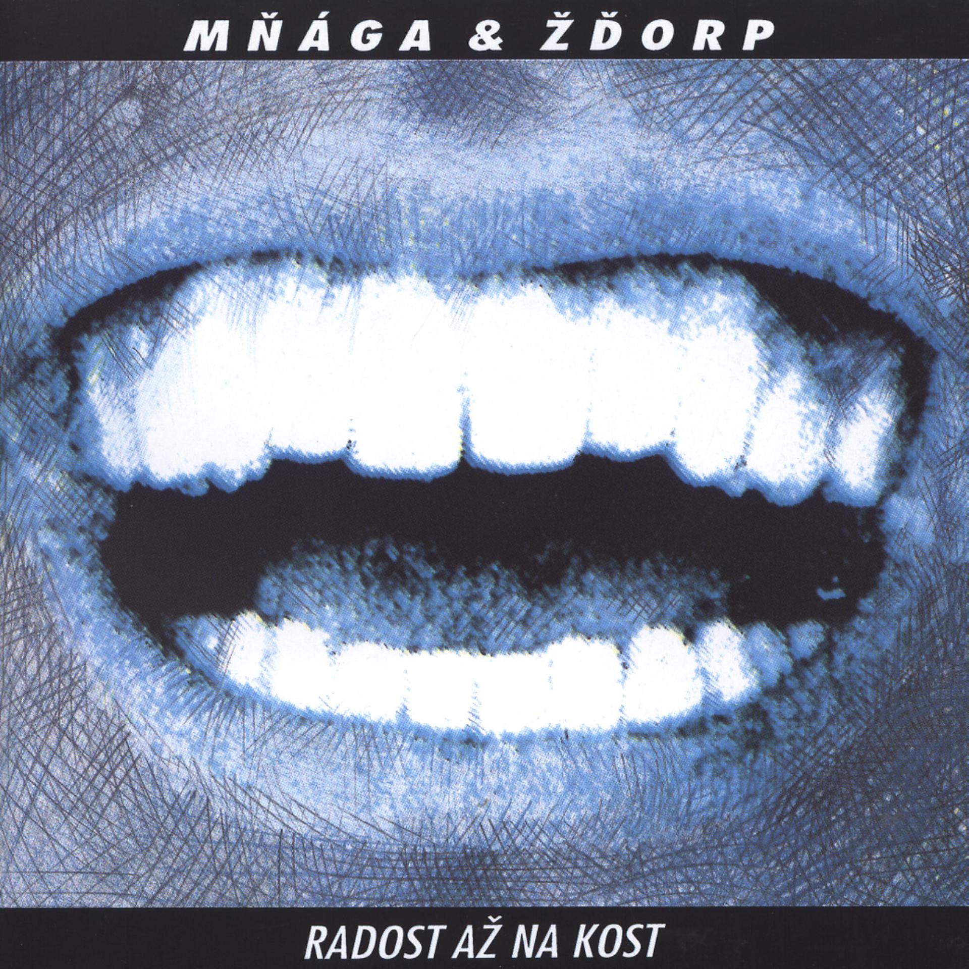 Постер альбома Radost az na kost