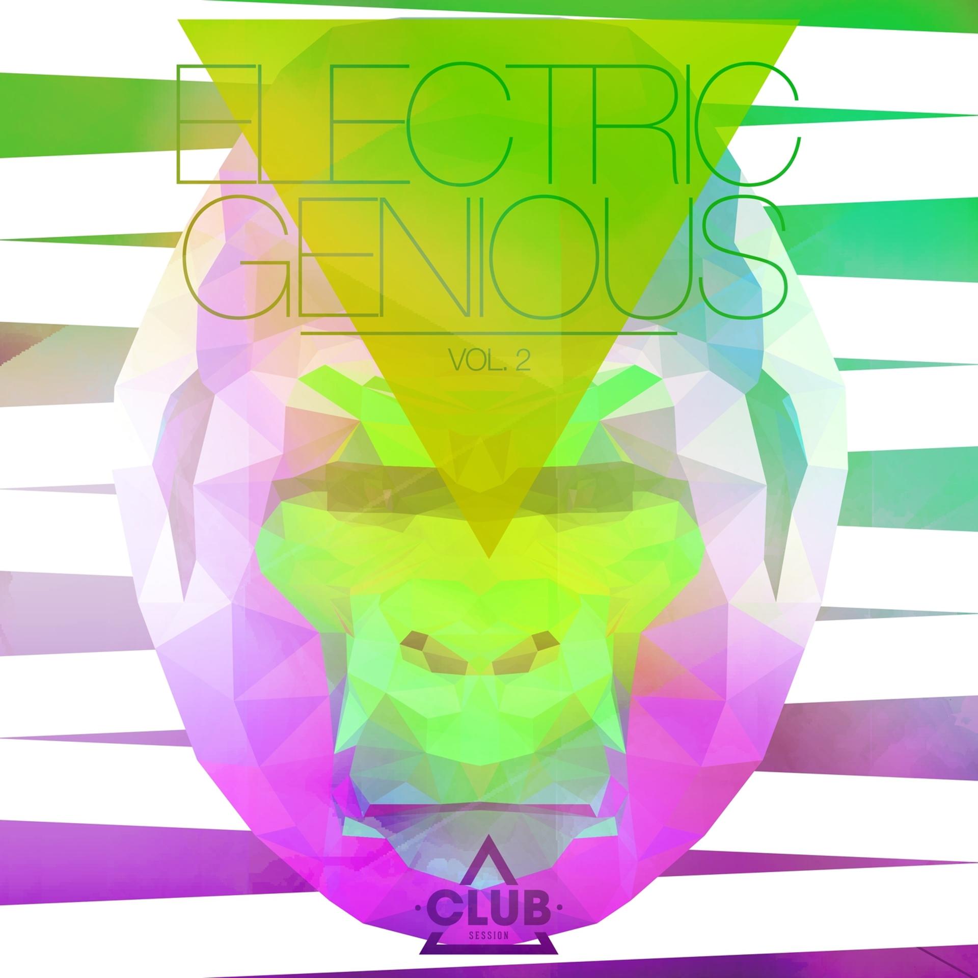 Постер альбома Electric Genious,Vol. 2
