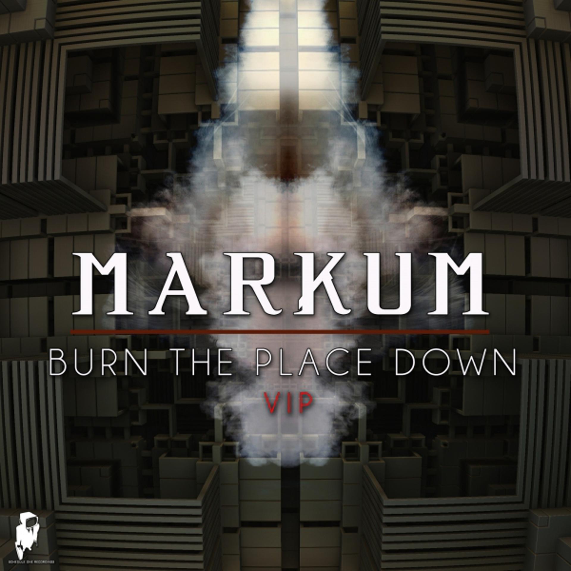 Постер альбома Burn the Place Down VIP