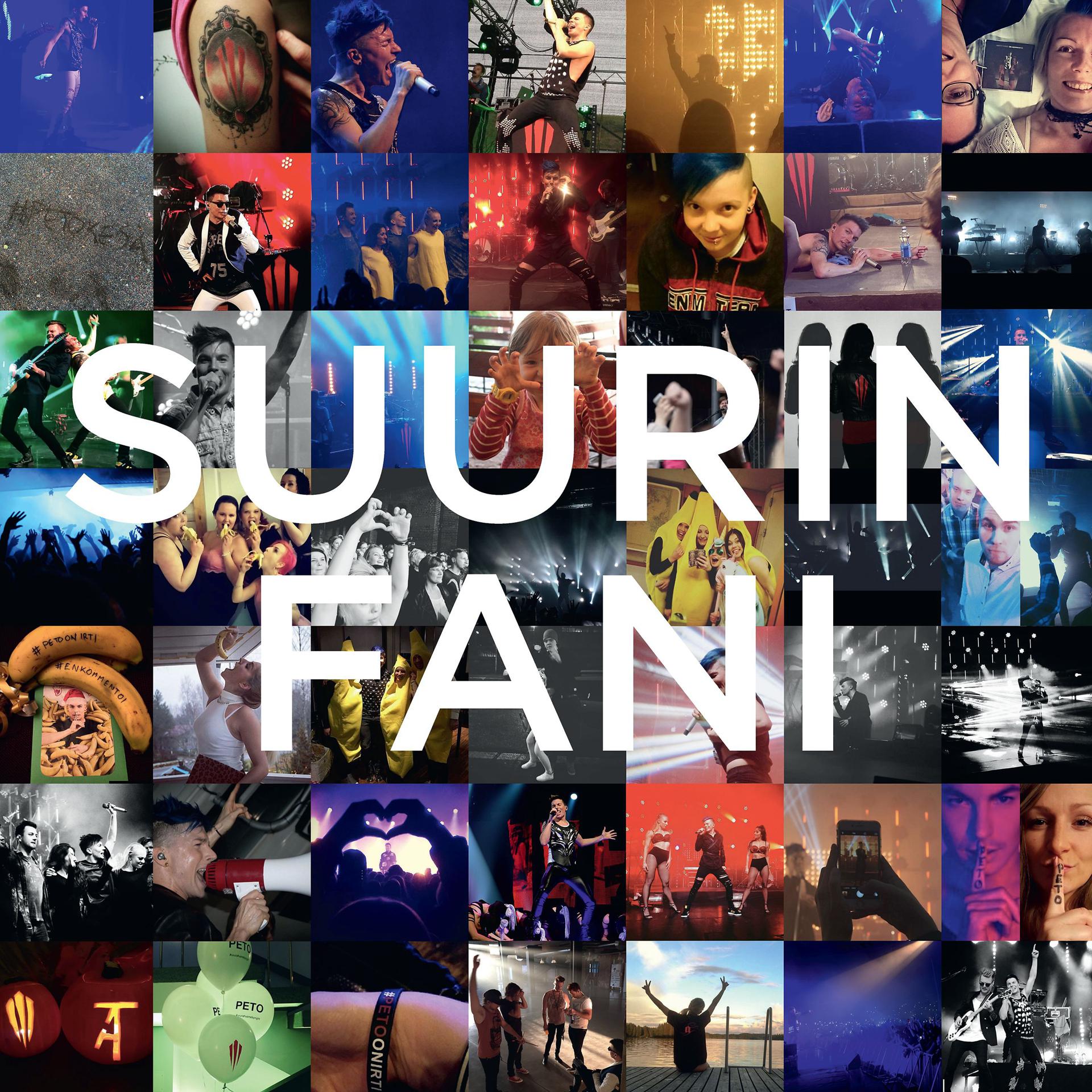 Постер альбома Suurin fani