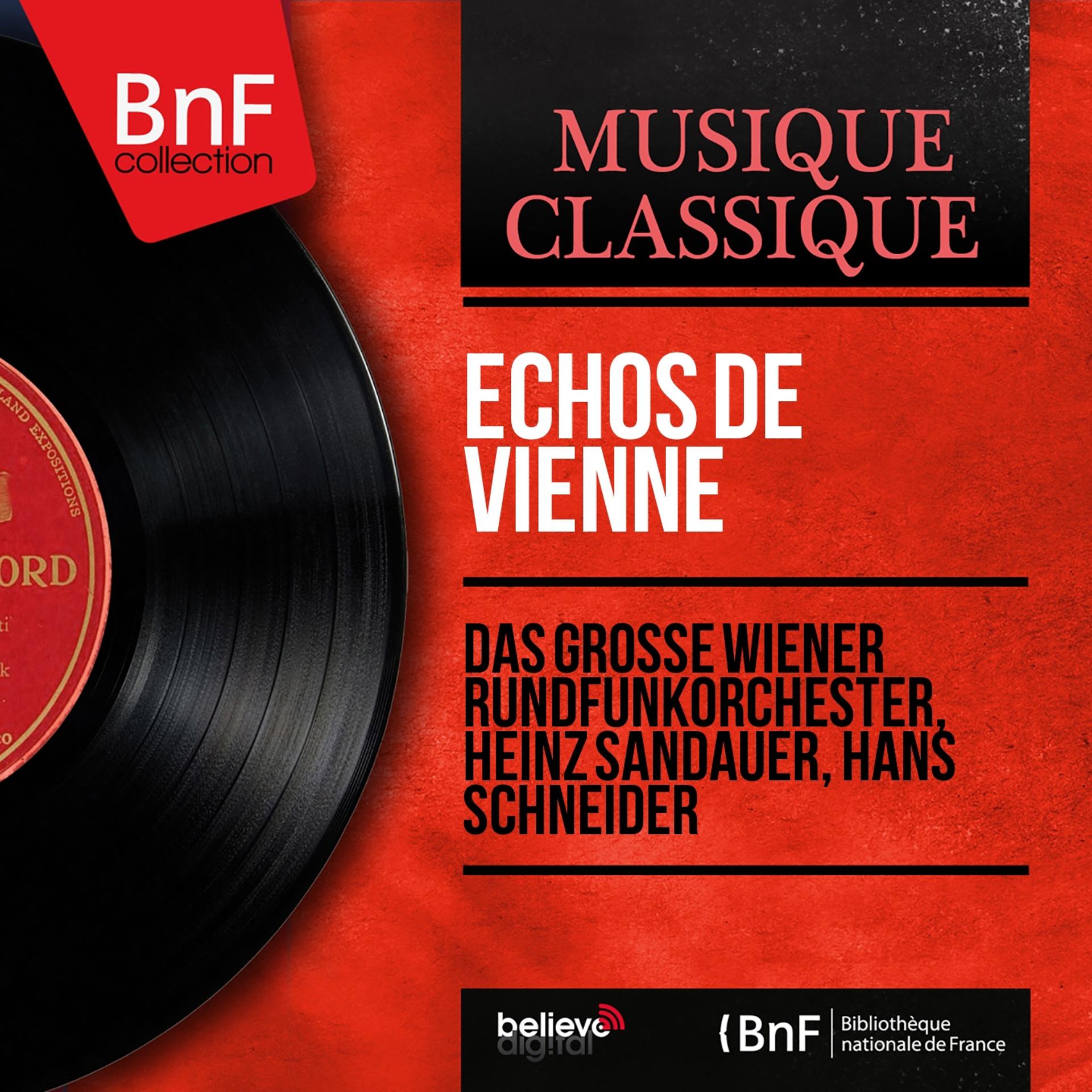 Постер альбома Échos de Vienne (Mono Version)