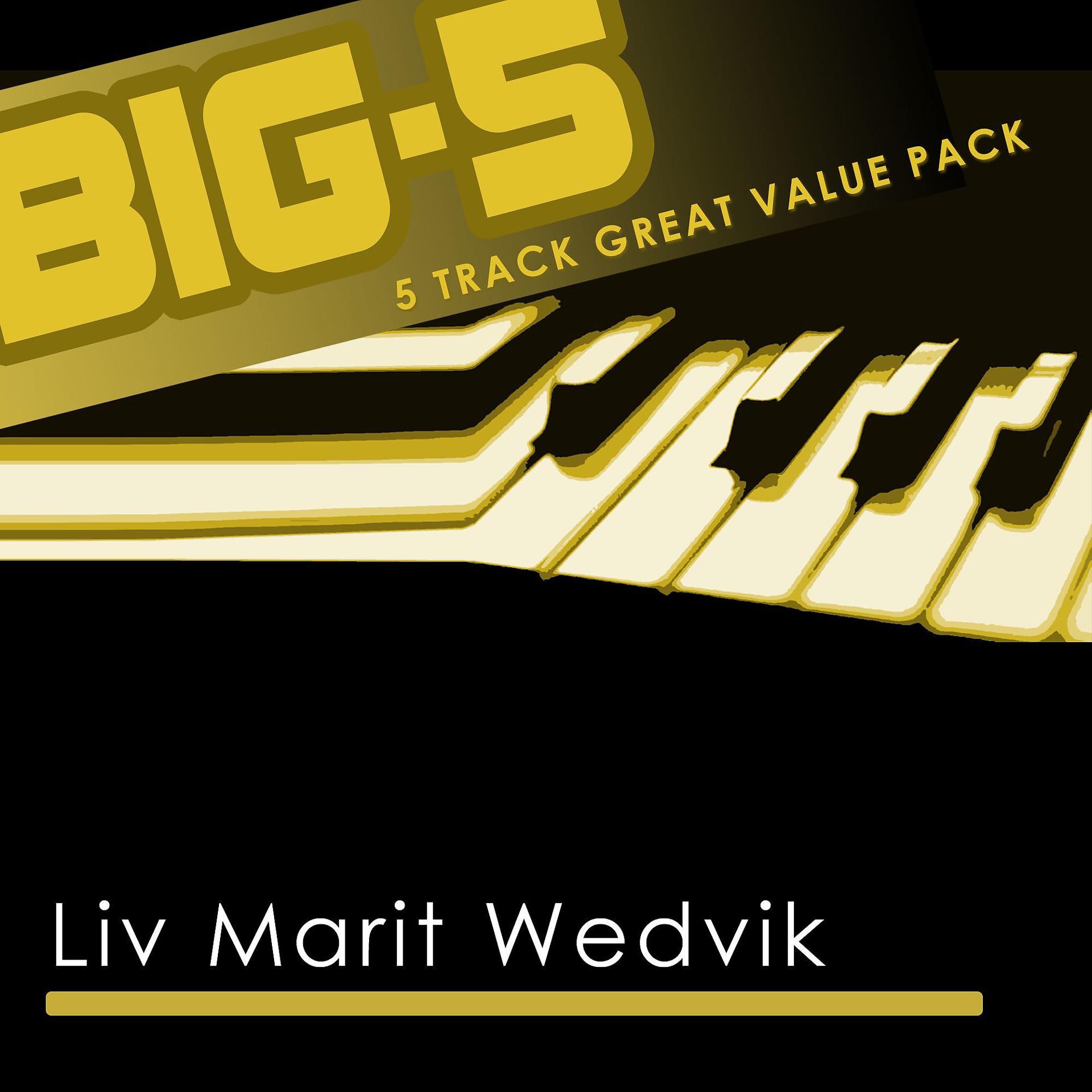 Постер альбома Big-5: Liv Marit Wedvik