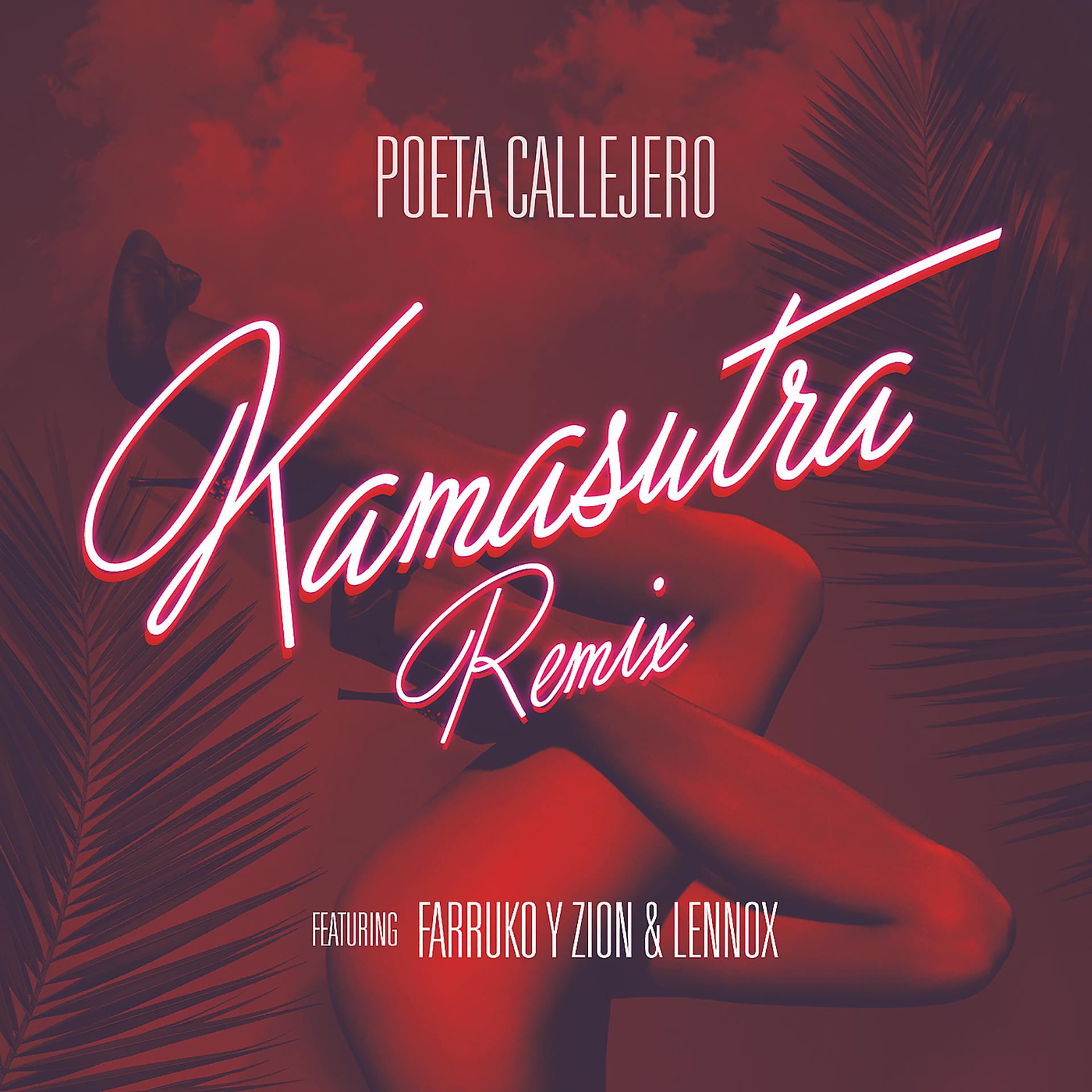 Постер альбома Kamasutra