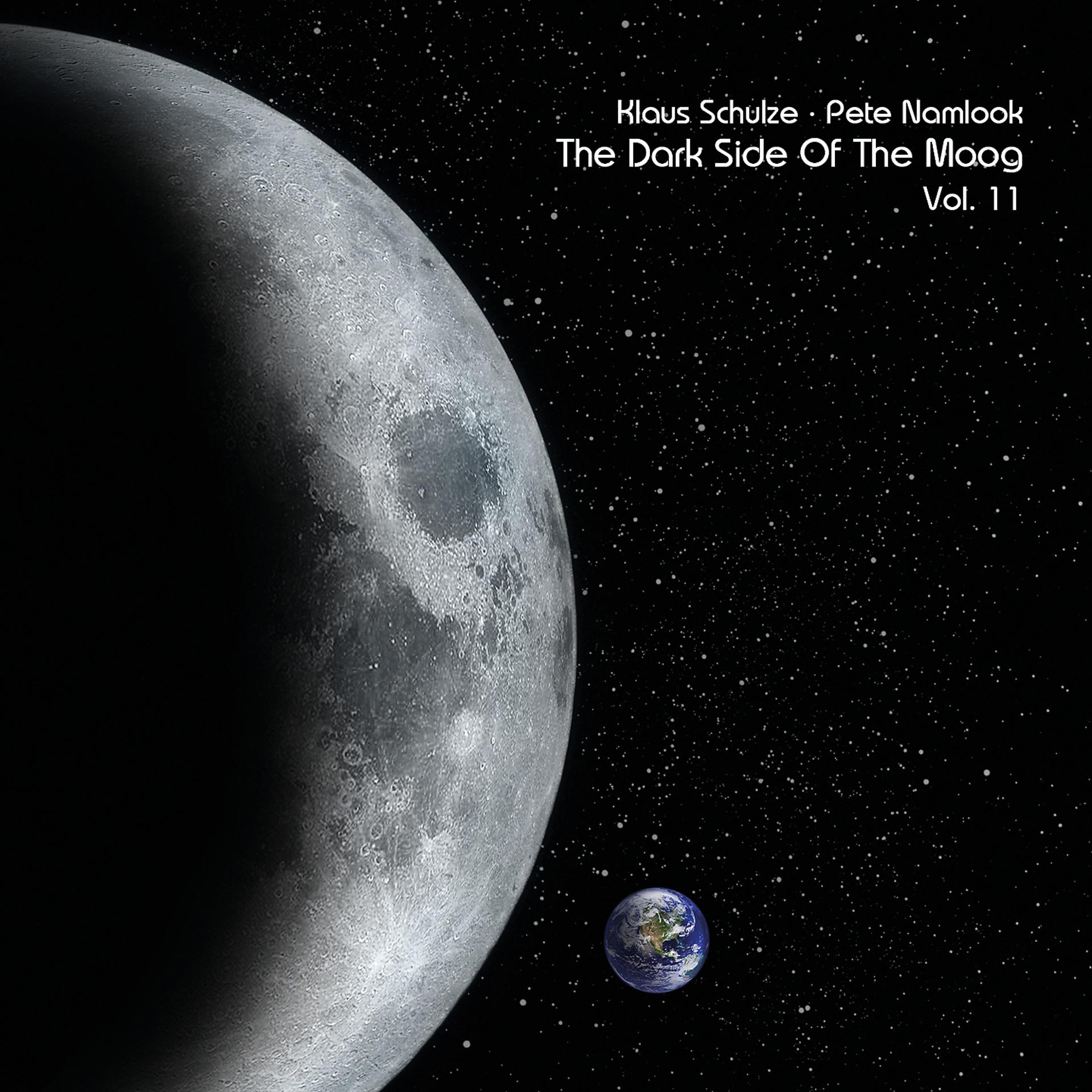 Постер альбома The Dark Side of the Moog, Vol. 11