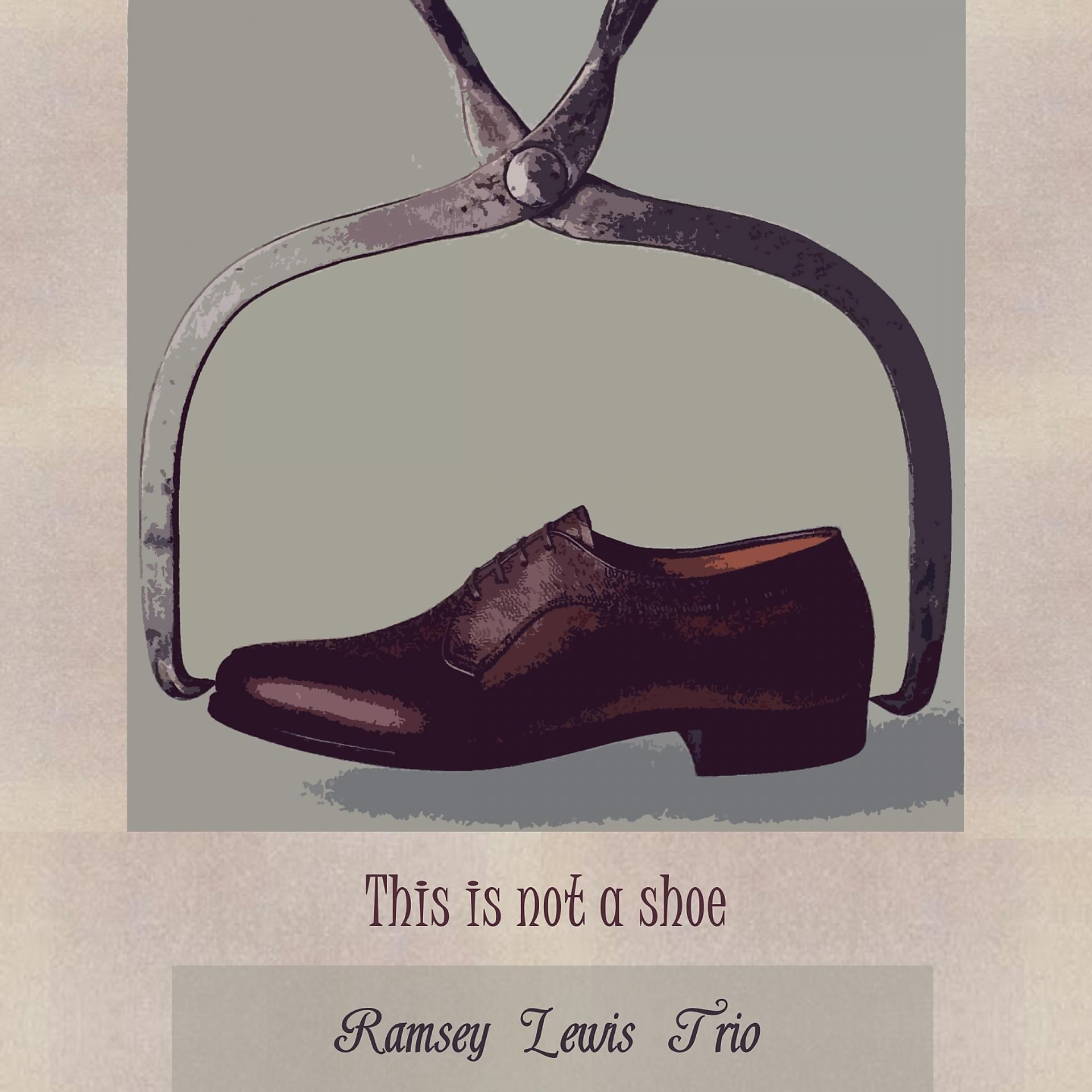 Постер альбома This Is Not A Shoe