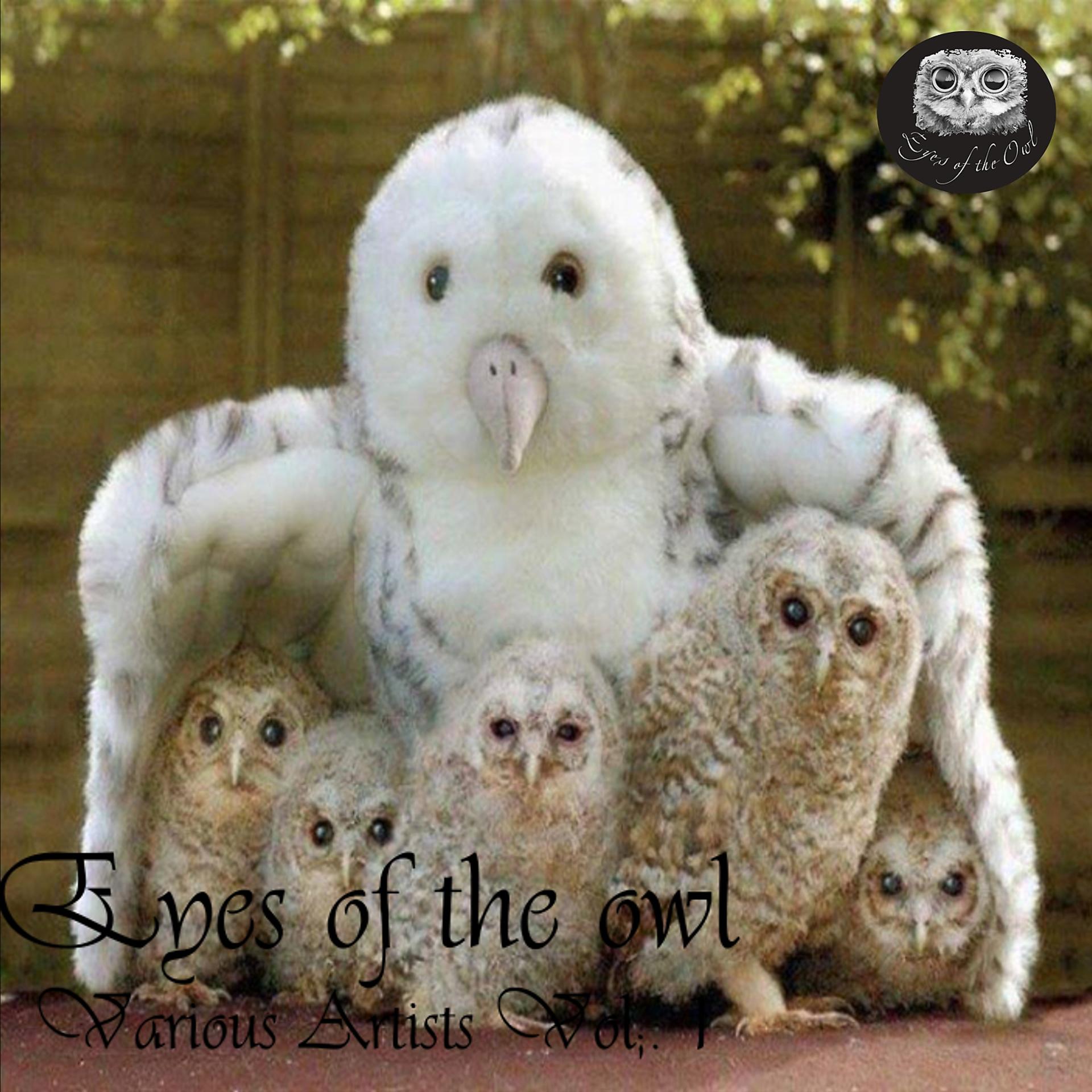 Постер альбома Eyes of the Owl, Vol. 1
