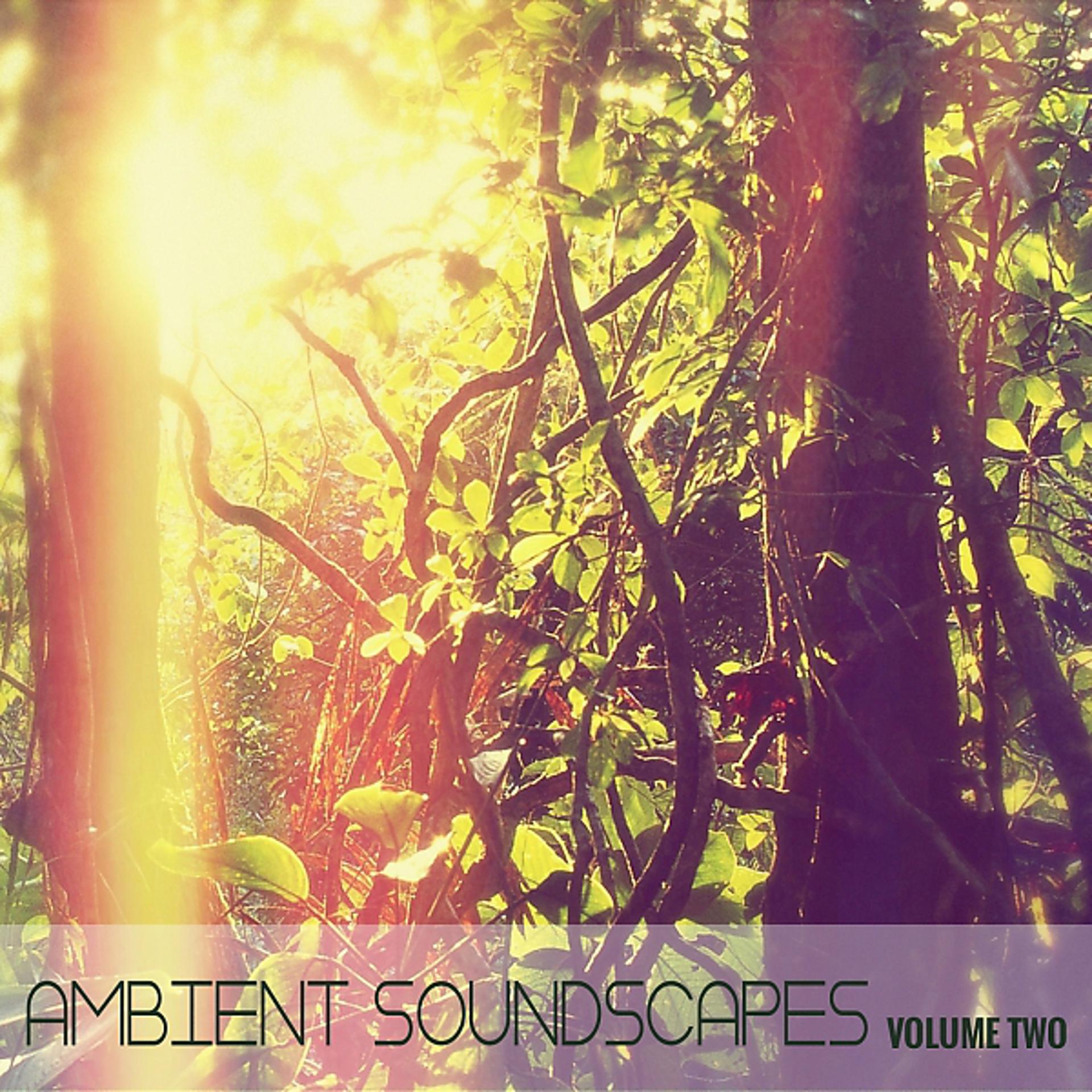 Постер альбома Ambient SoundScapes, Vol. 2
