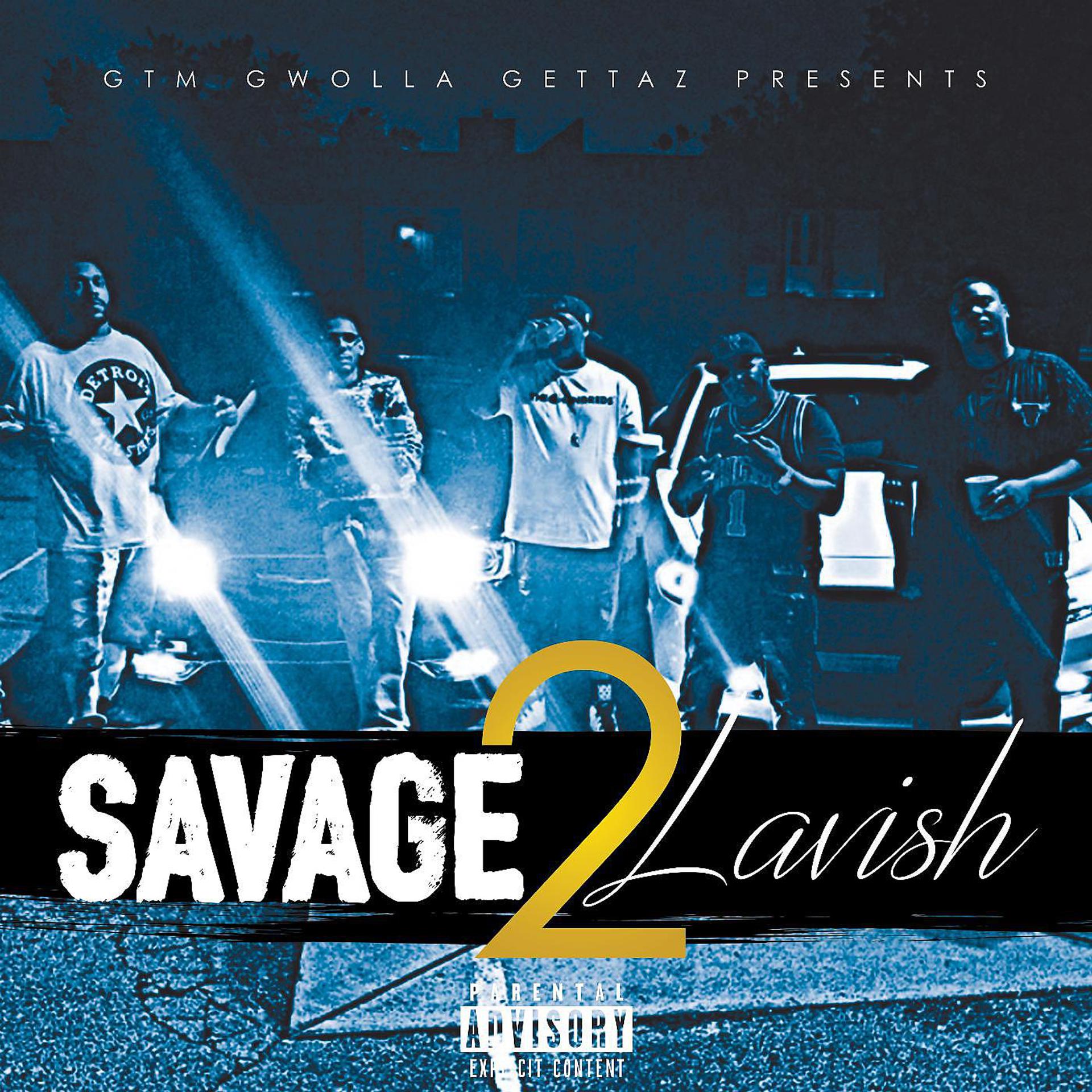 Постер альбома Savage 2 Lavish