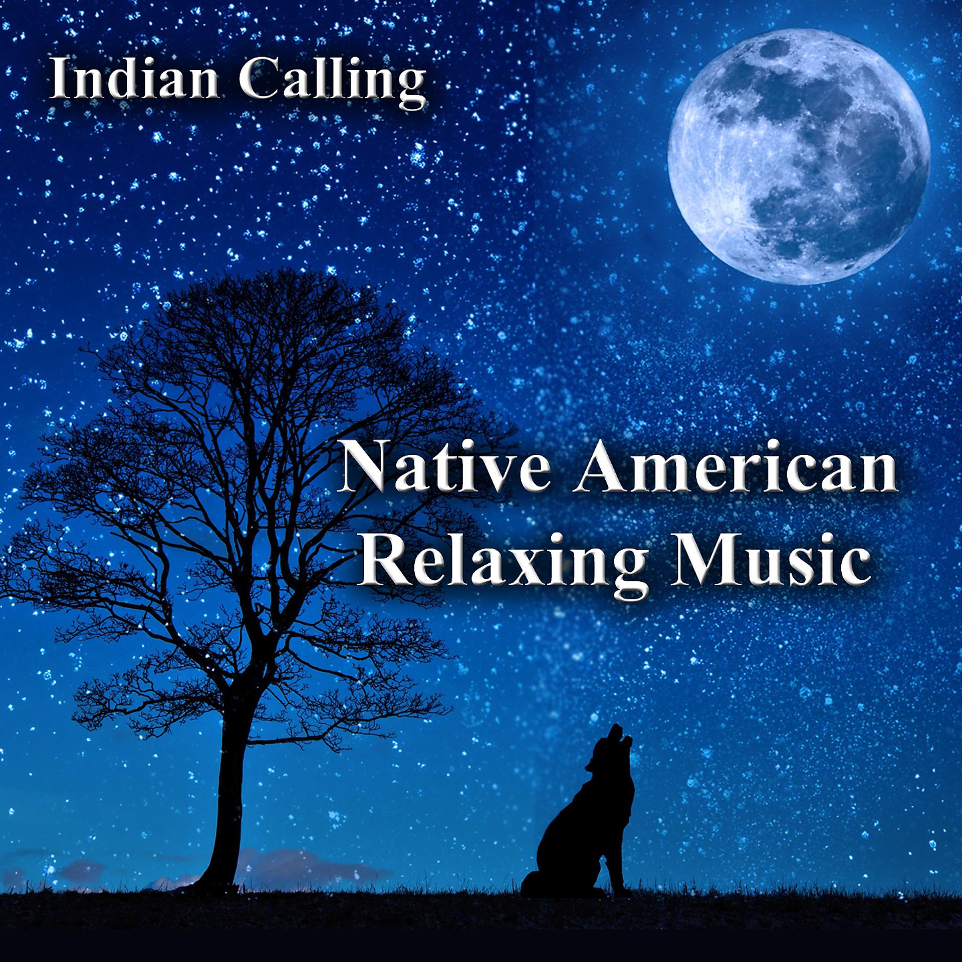 Постер альбома Native American Relaxing Music