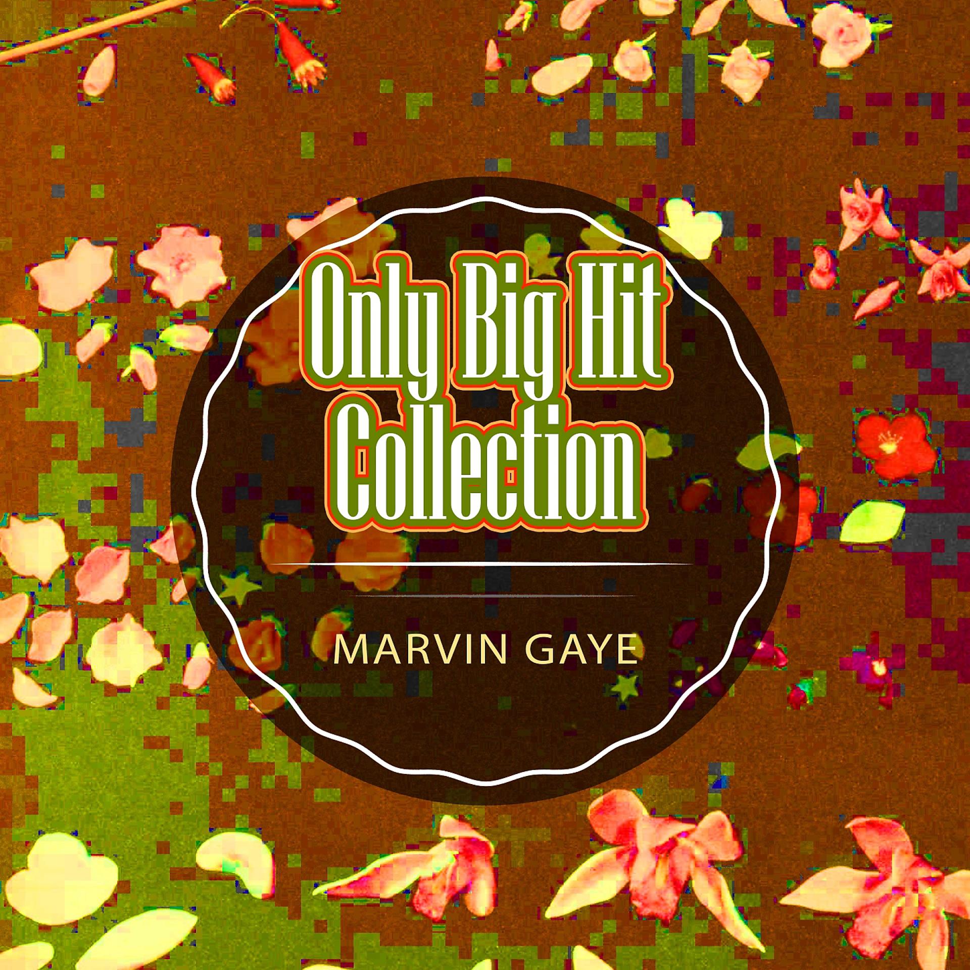 Постер альбома Only Big Hit Collection