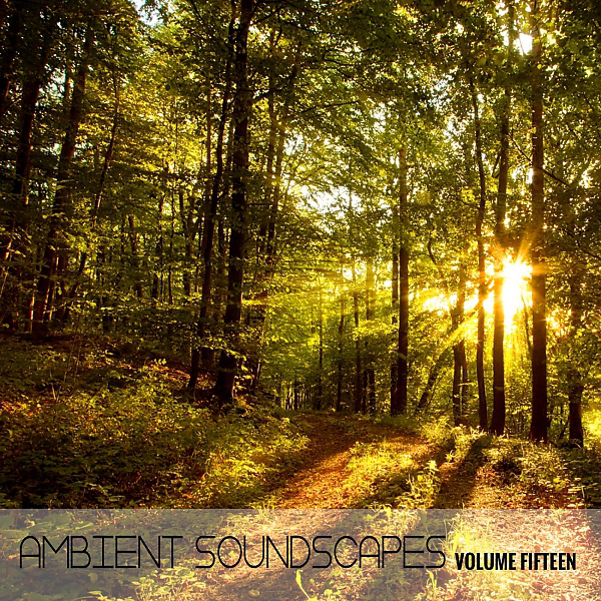 Постер альбома Ambient SoundScapes, Vol. 15