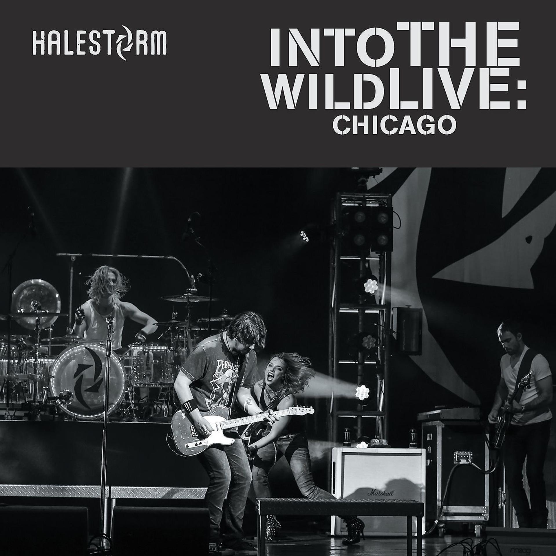 Постер альбома Into the Wild Live: Chicago