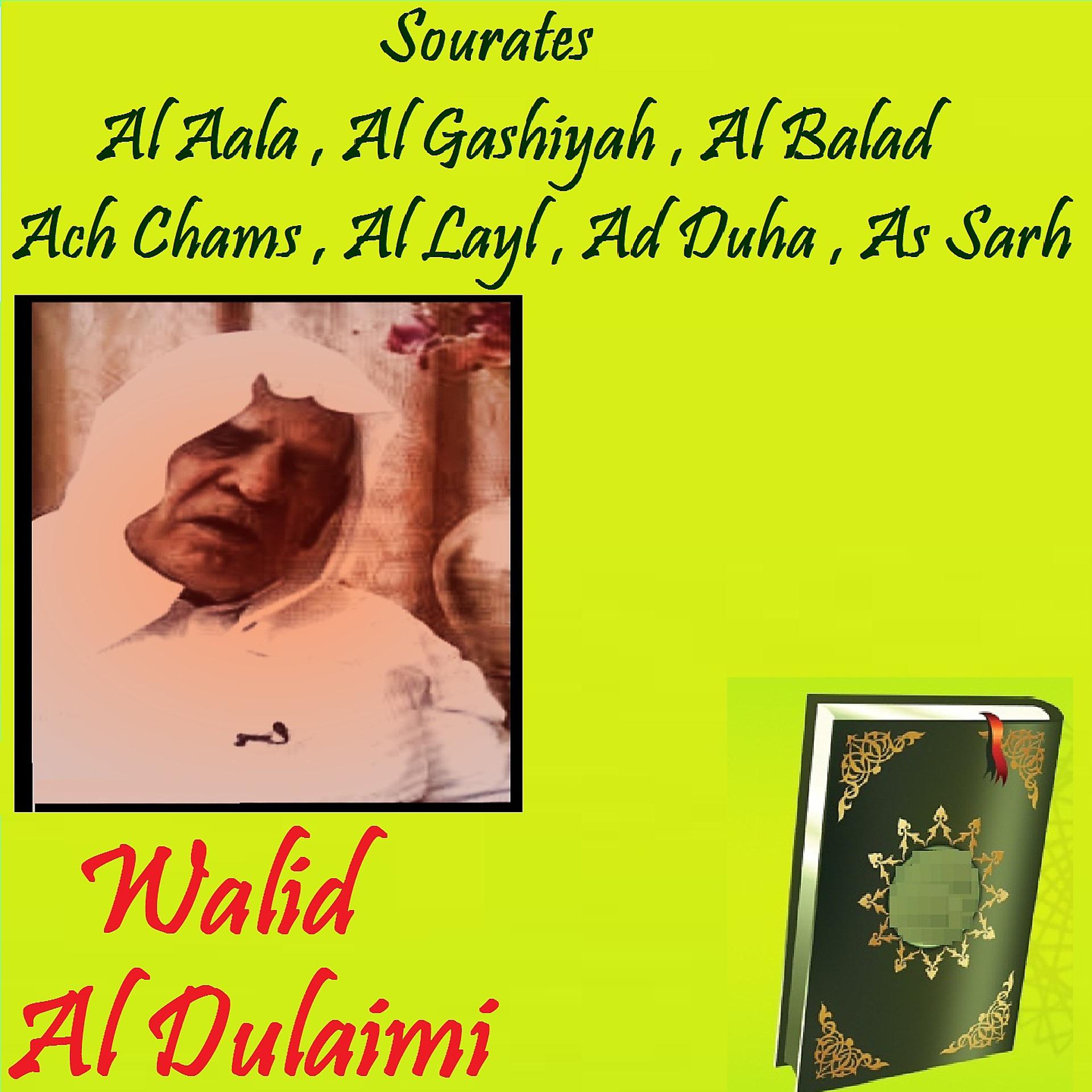 Постер альбома Sourates Al Aala , Al Gashiyah , Al Balad , Ach Chams , Al Layl , Ad Duha , As Sarh