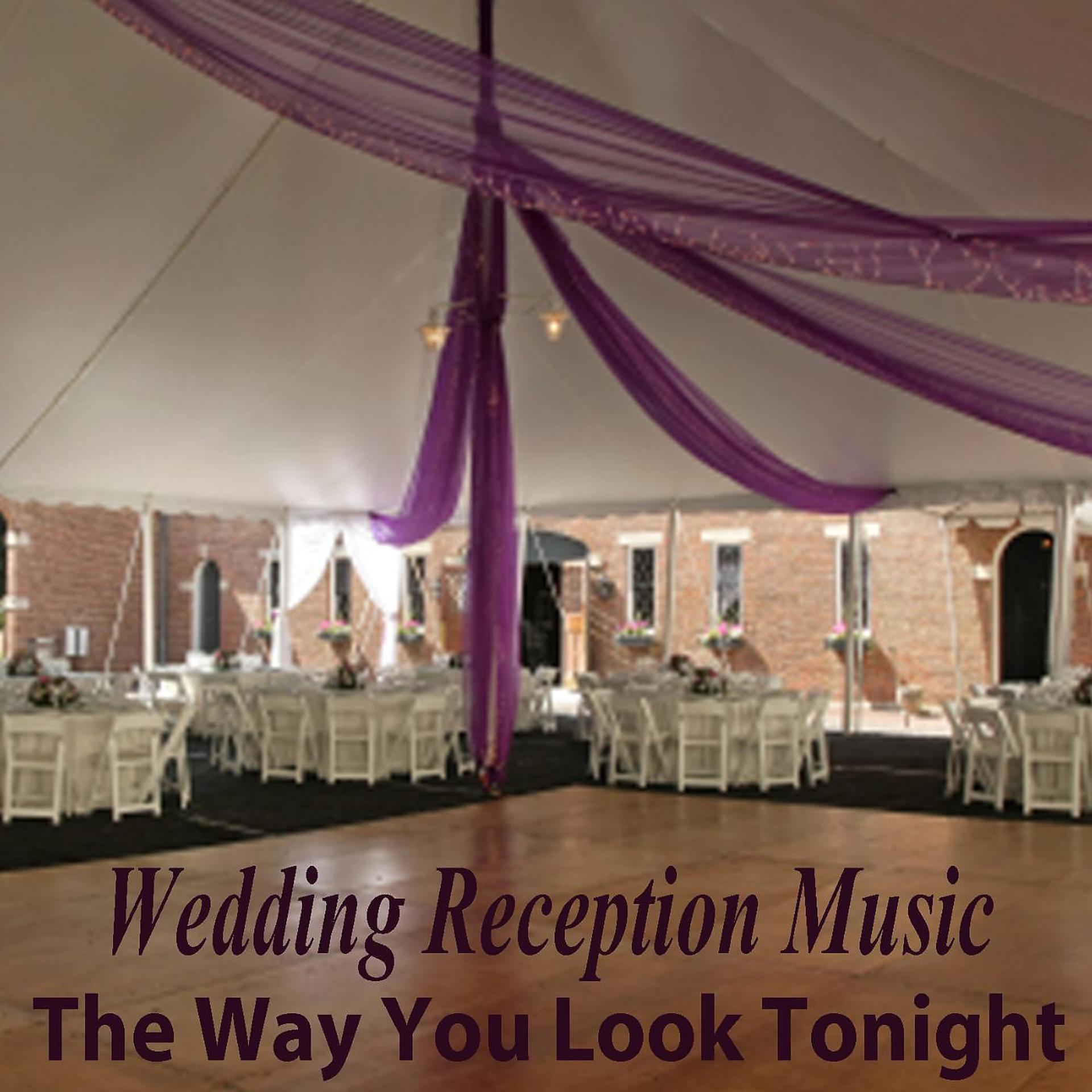 Постер альбома Wedding Reception Music: The Way You Look Tonight
