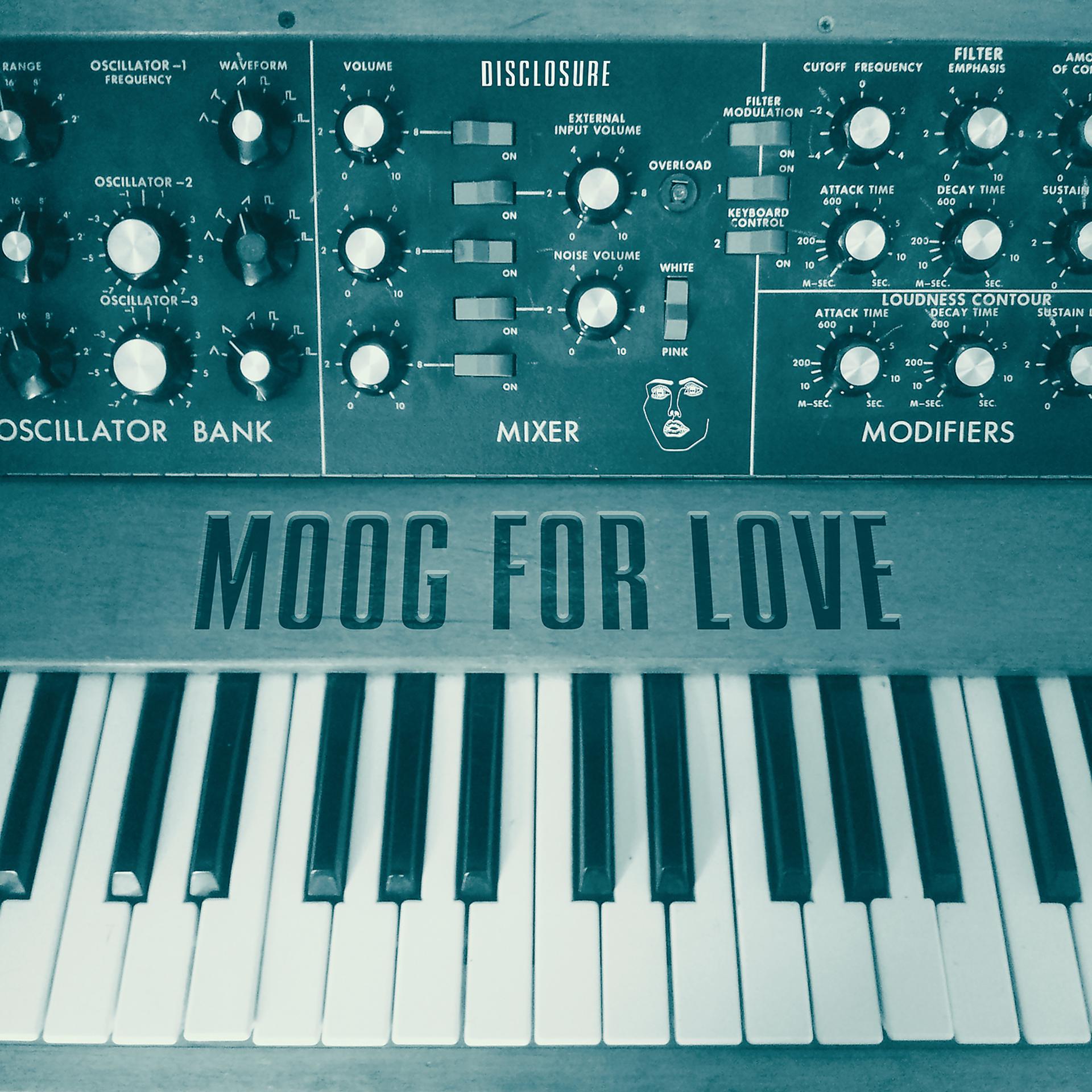 Постер альбома Moog For Love