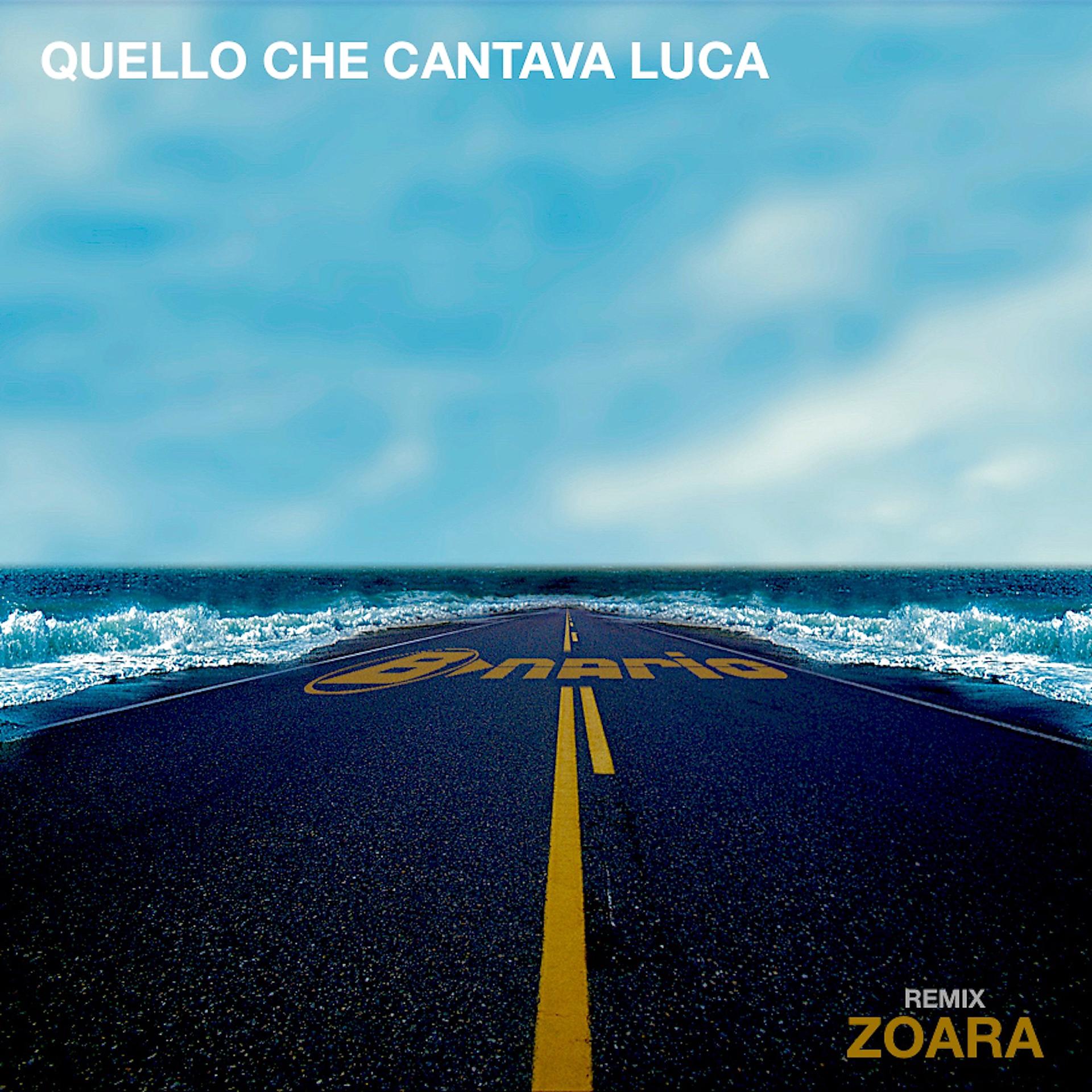 Постер альбома Quello che cantava Luca