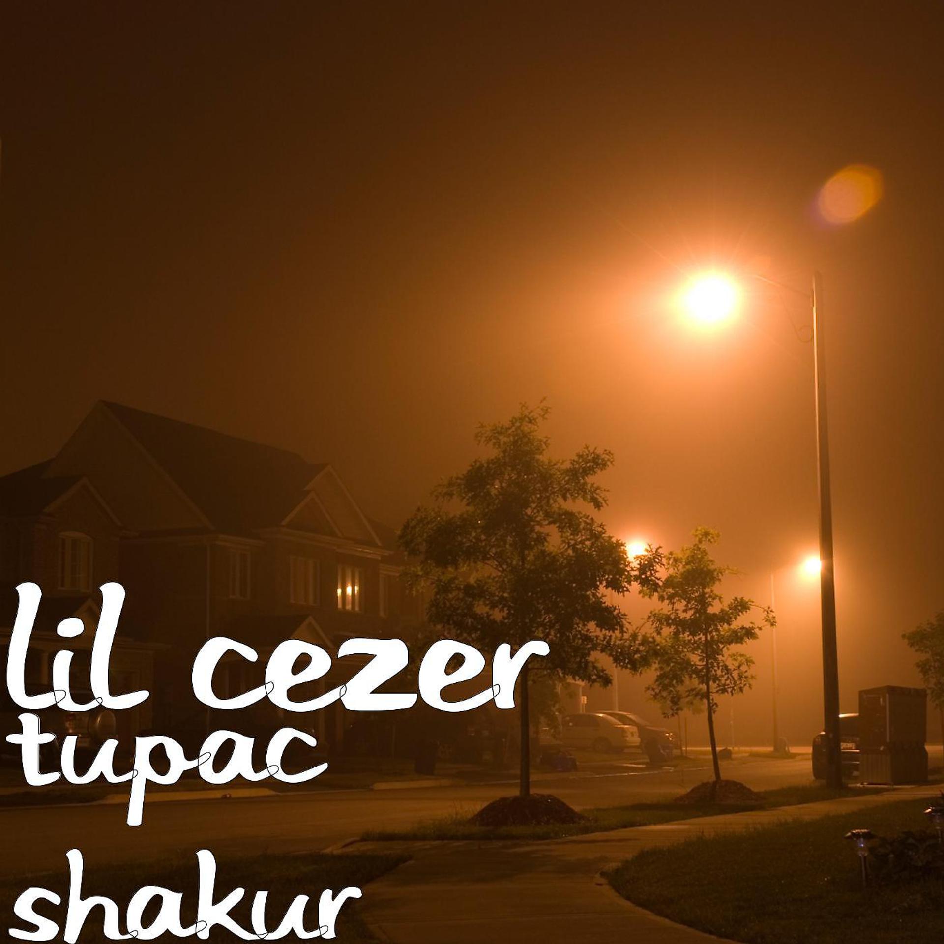 Постер альбома Tupac Shakur