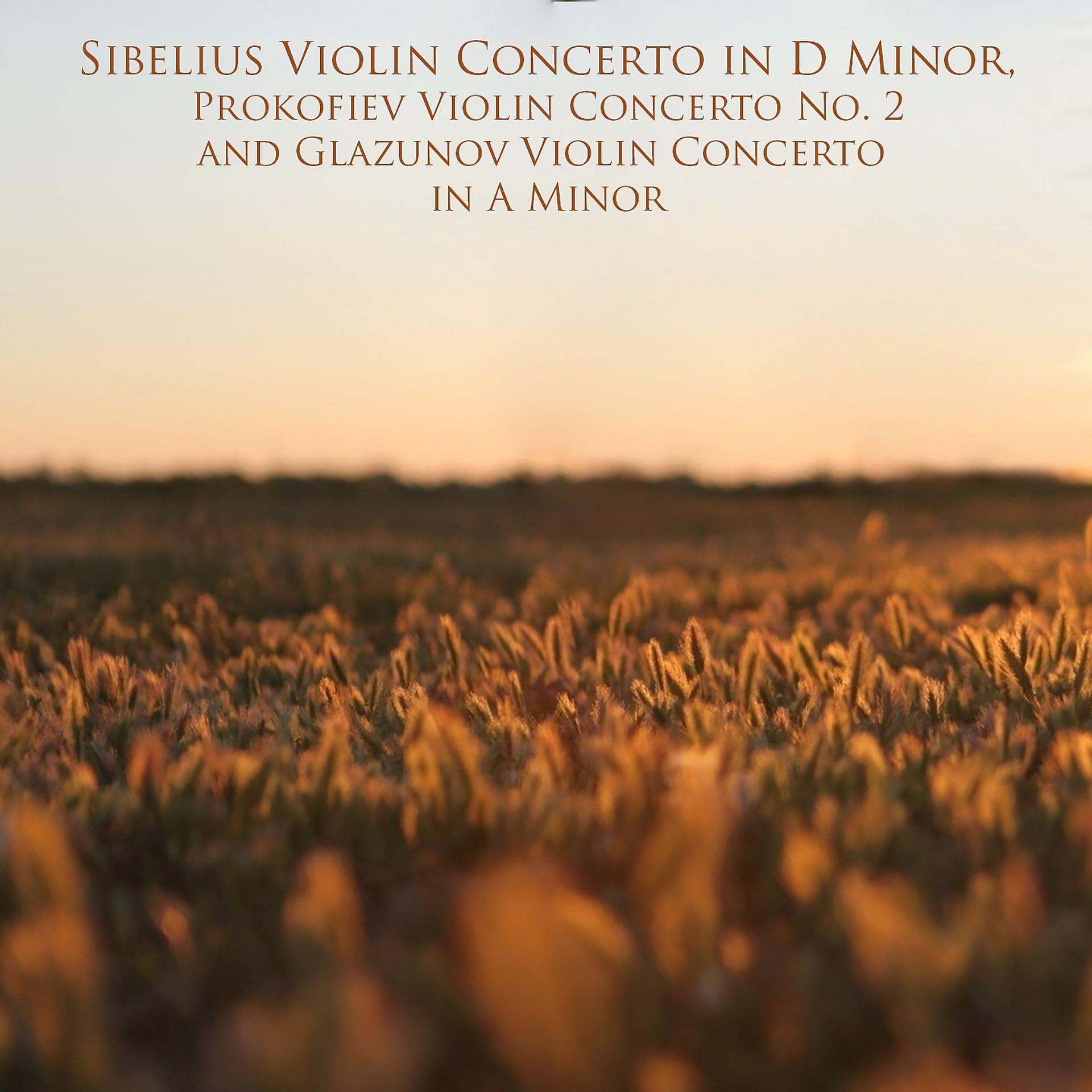Постер альбома Sibelius Violin Concerto in D Minor, Prokofiev Violin Concerto No. 2 and Glazunov Violin Concerto in A Minor