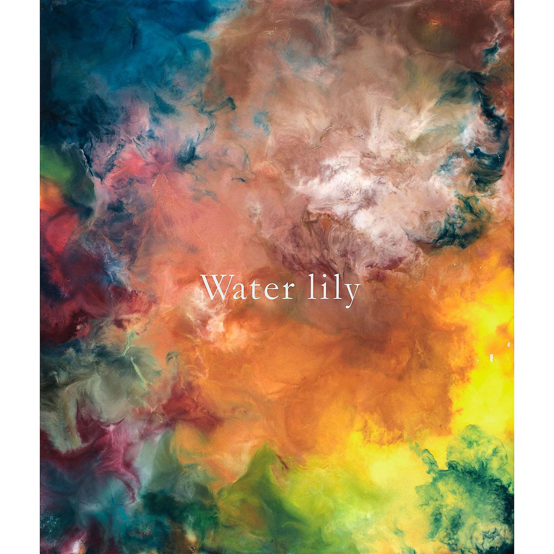 Постер альбома Water lily