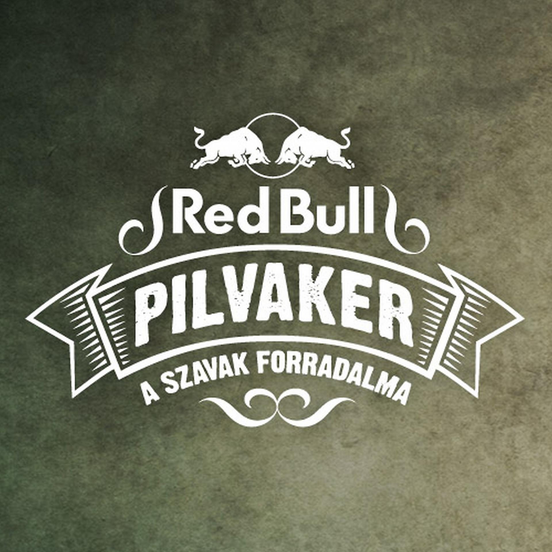 Постер альбома Red Bull Pilvaker 2015