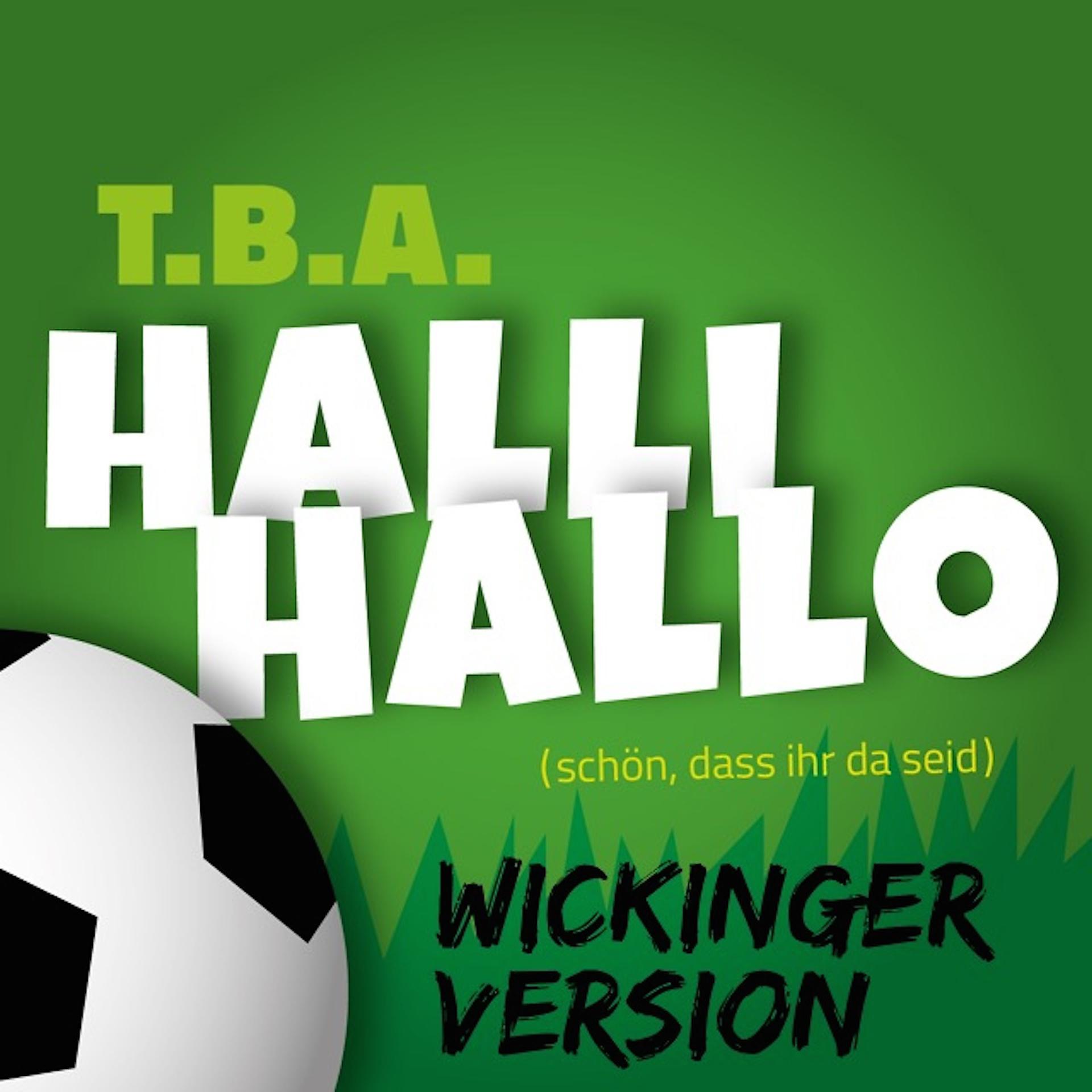 Постер альбома Halli Hallo (Schön dass ihr da seid!) [WIKINGER VERSION]