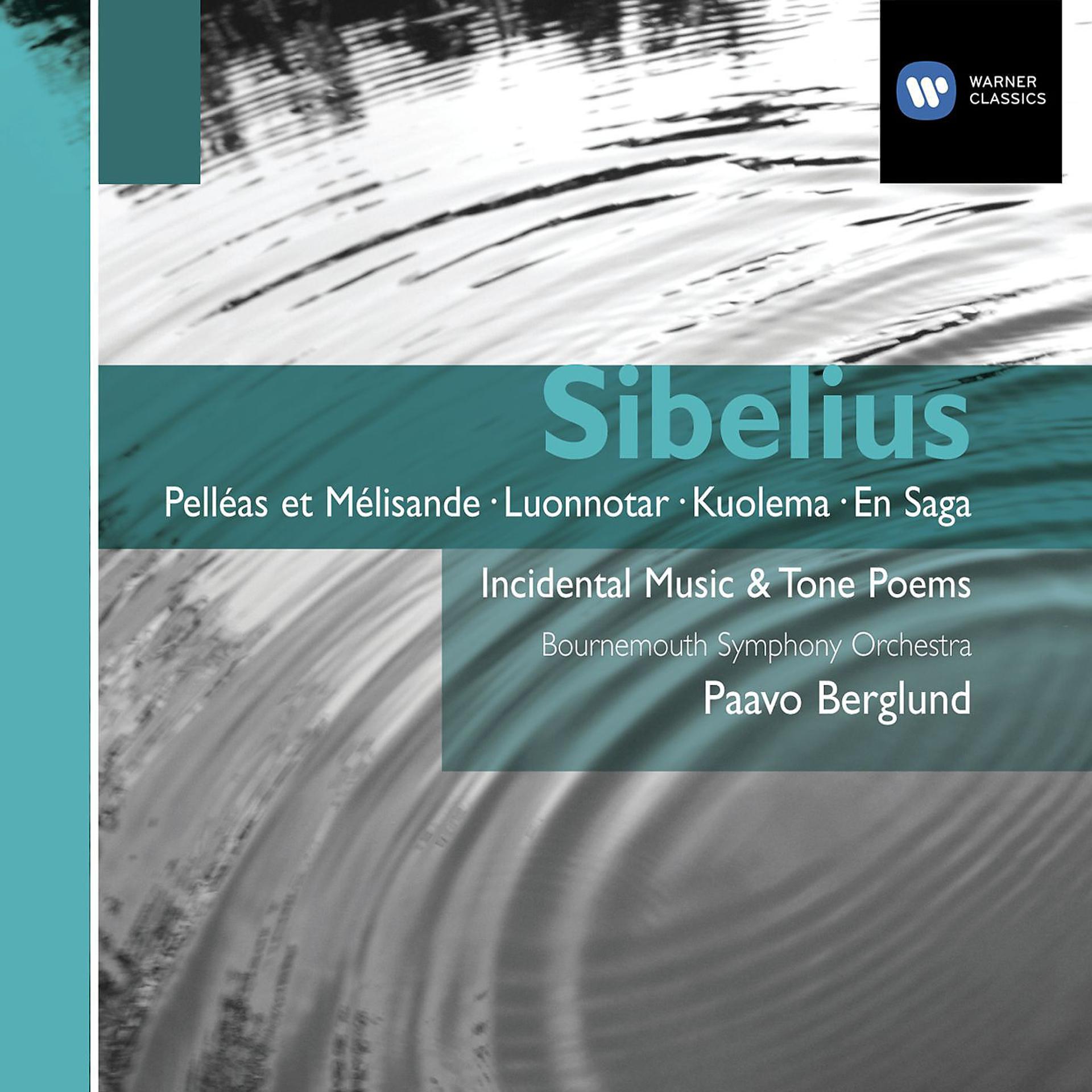 Постер альбома Sibelius Orchestral Works