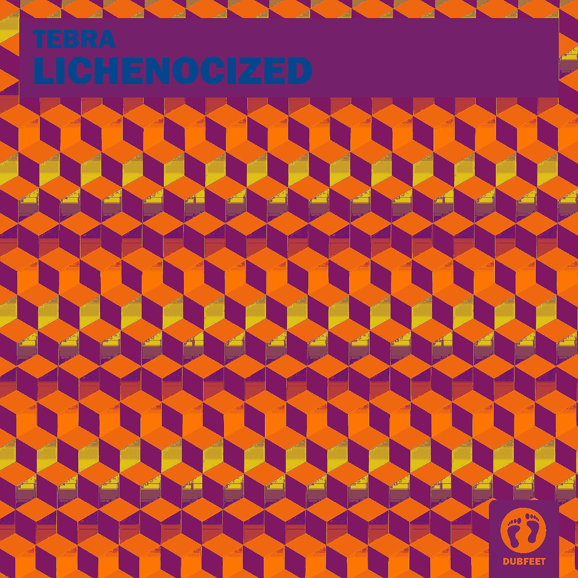 Постер альбома Lichenocized