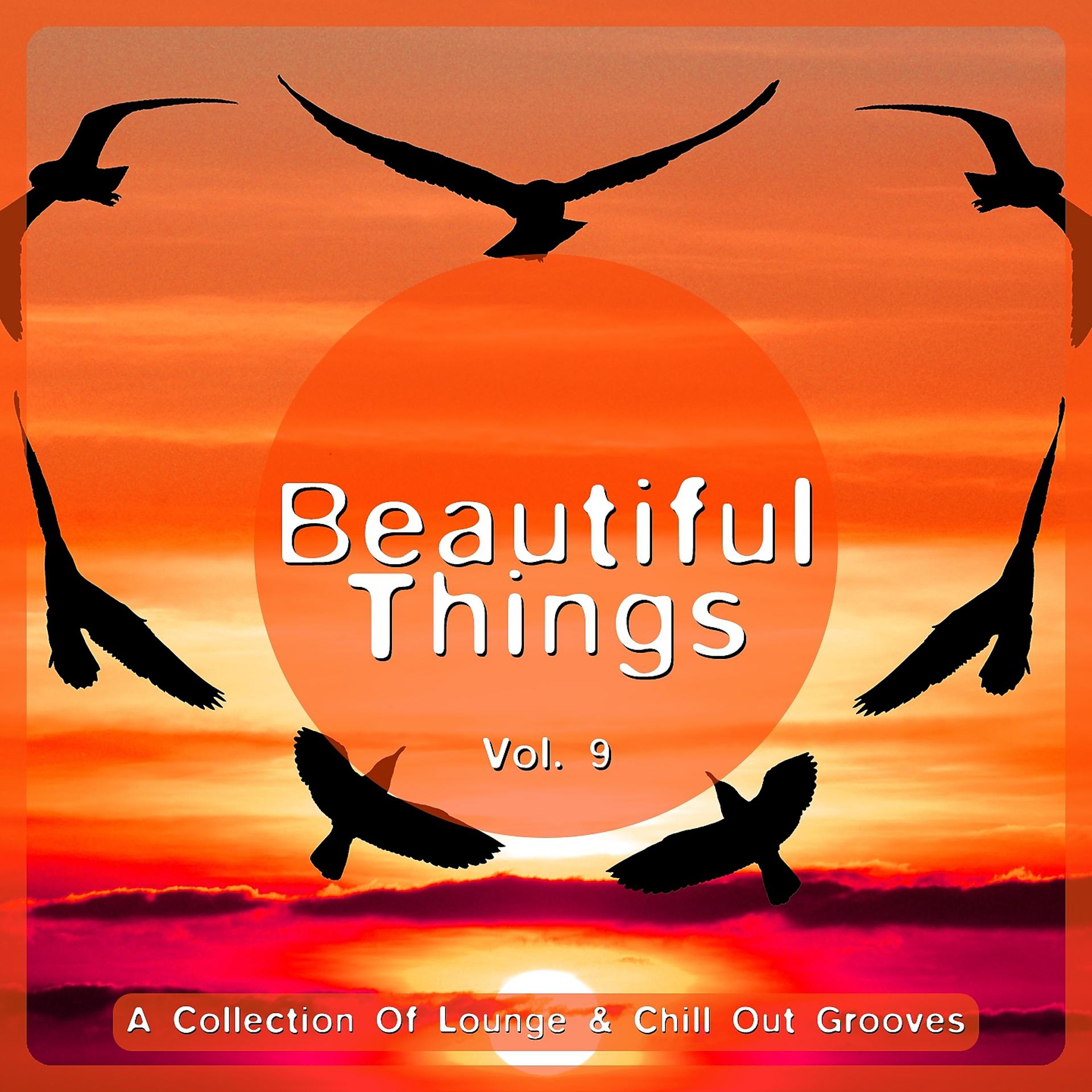 Постер альбома Beautiful Things, Vol. 9 (A Collection of Lounge & Chill out Grooves)
