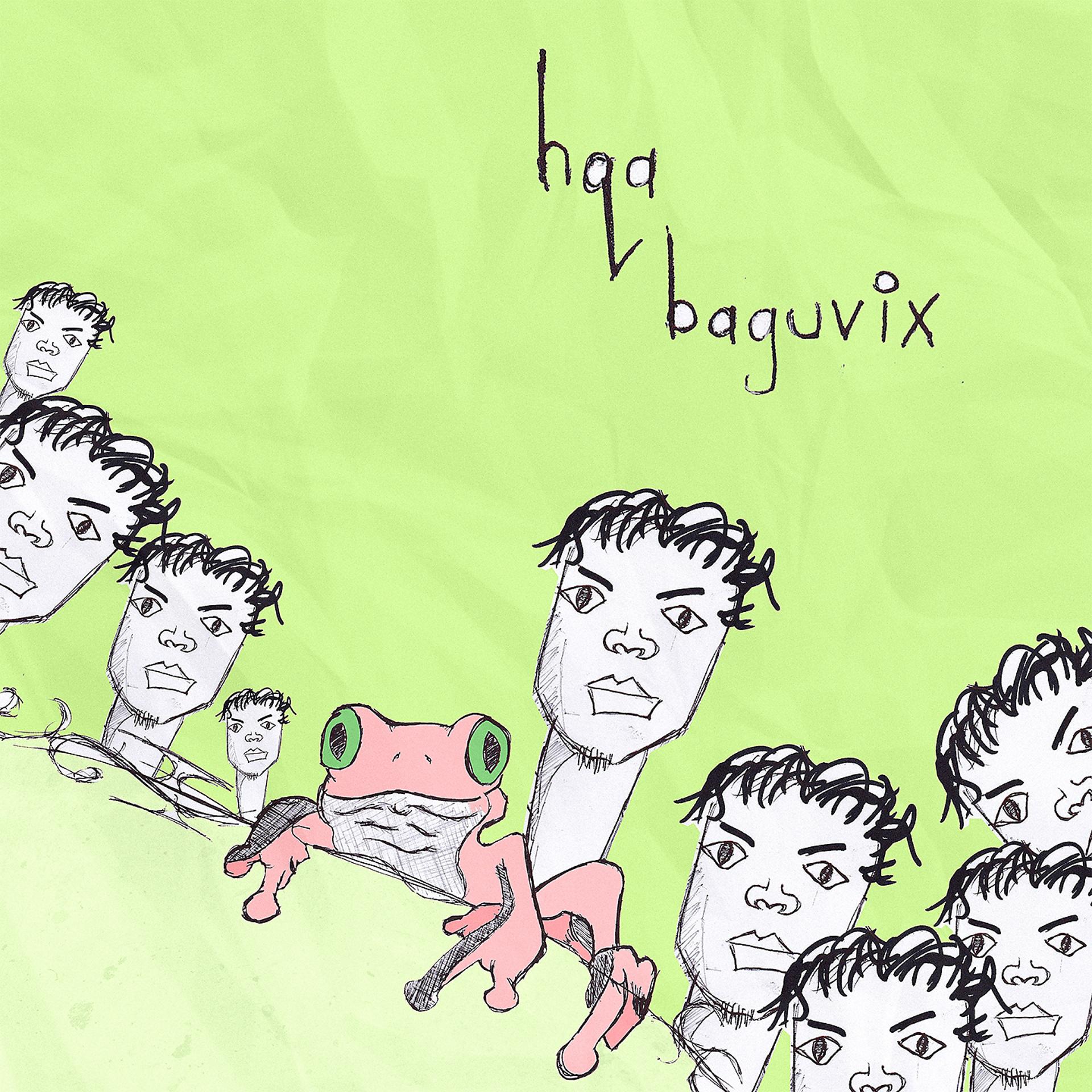 Постер альбома Baguvix