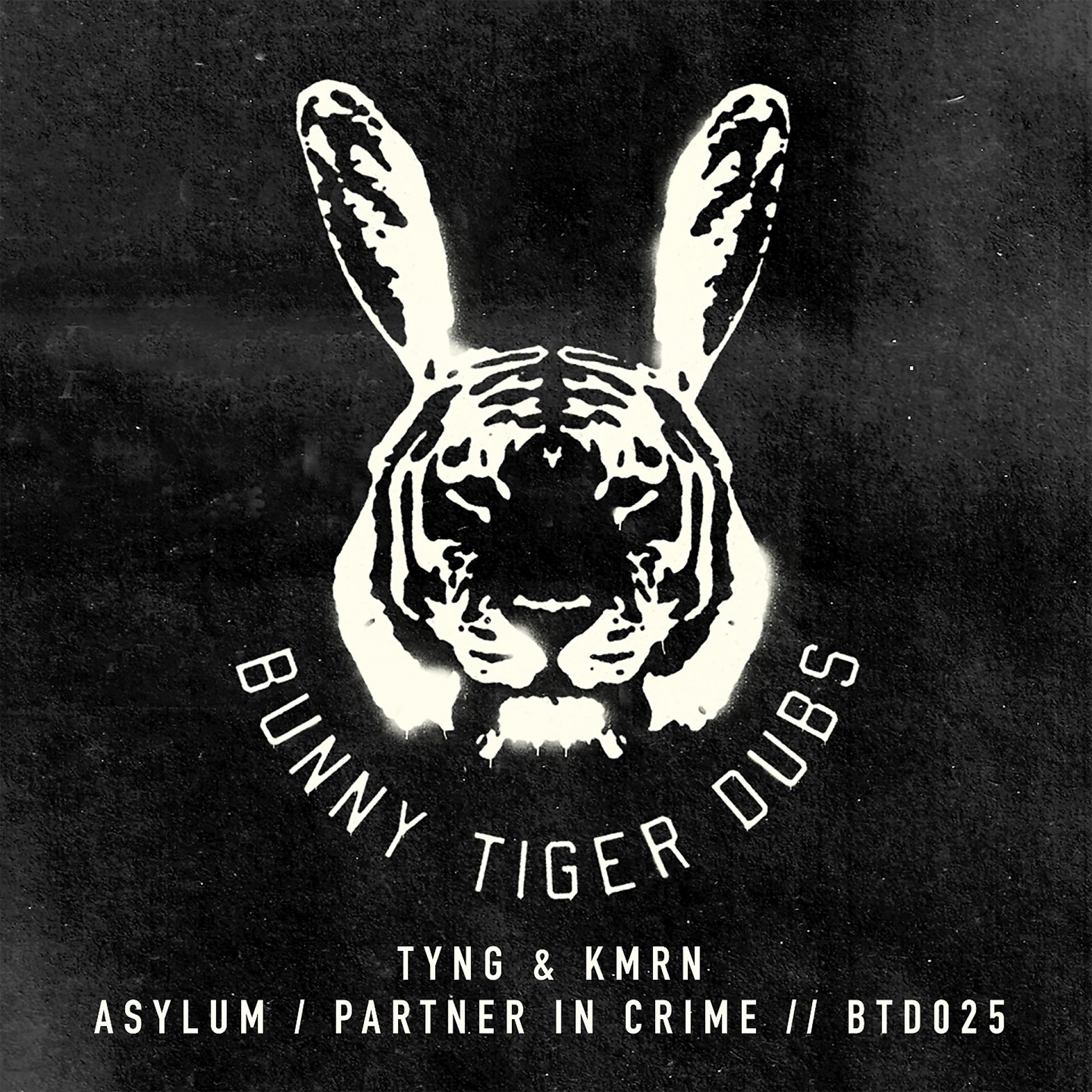 Постер альбома Asylum / Partner In Crime